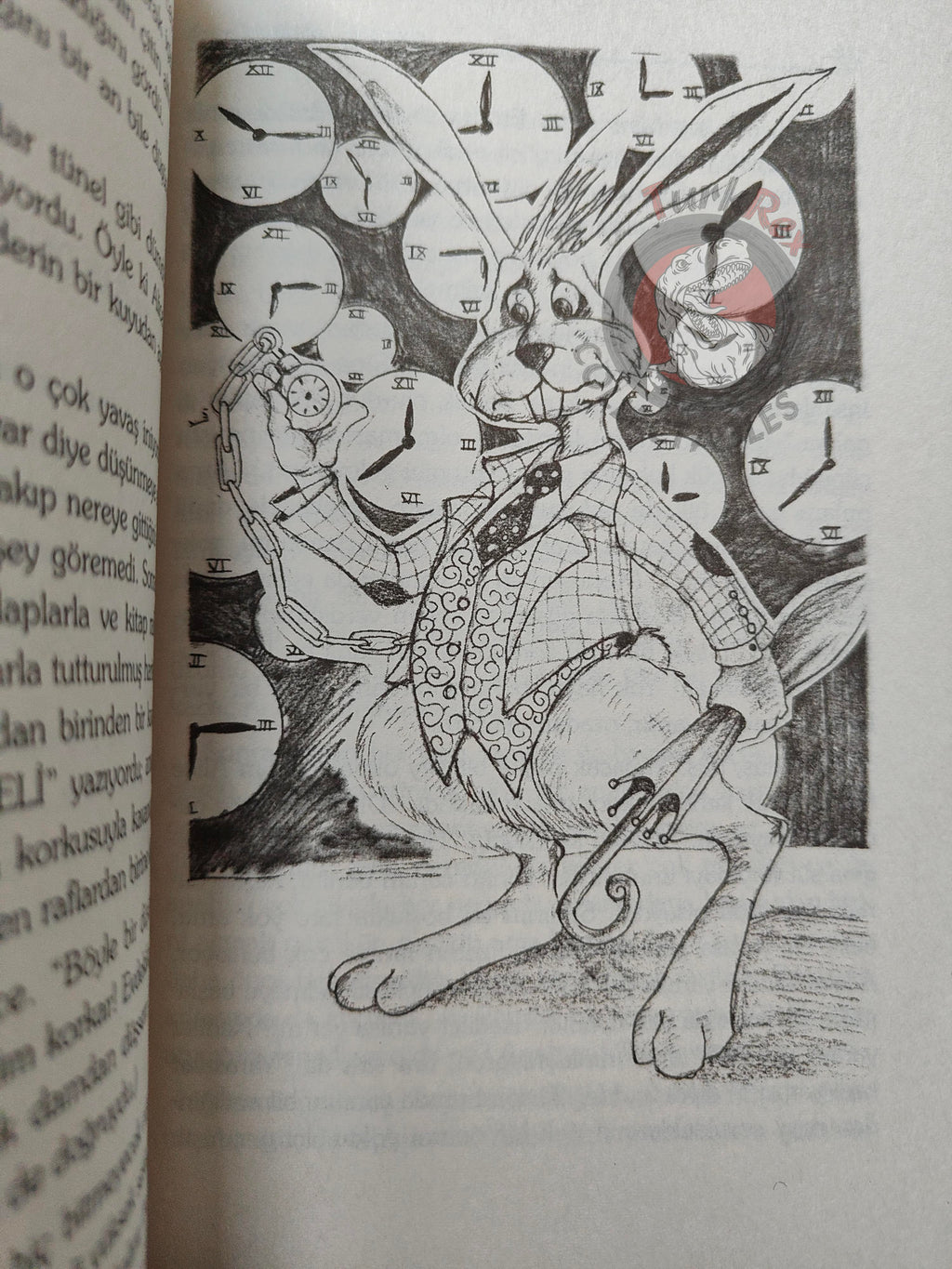 Lewis Carroll – Alice in Wonderland 2004 Turkish Book Turkey Illustrated