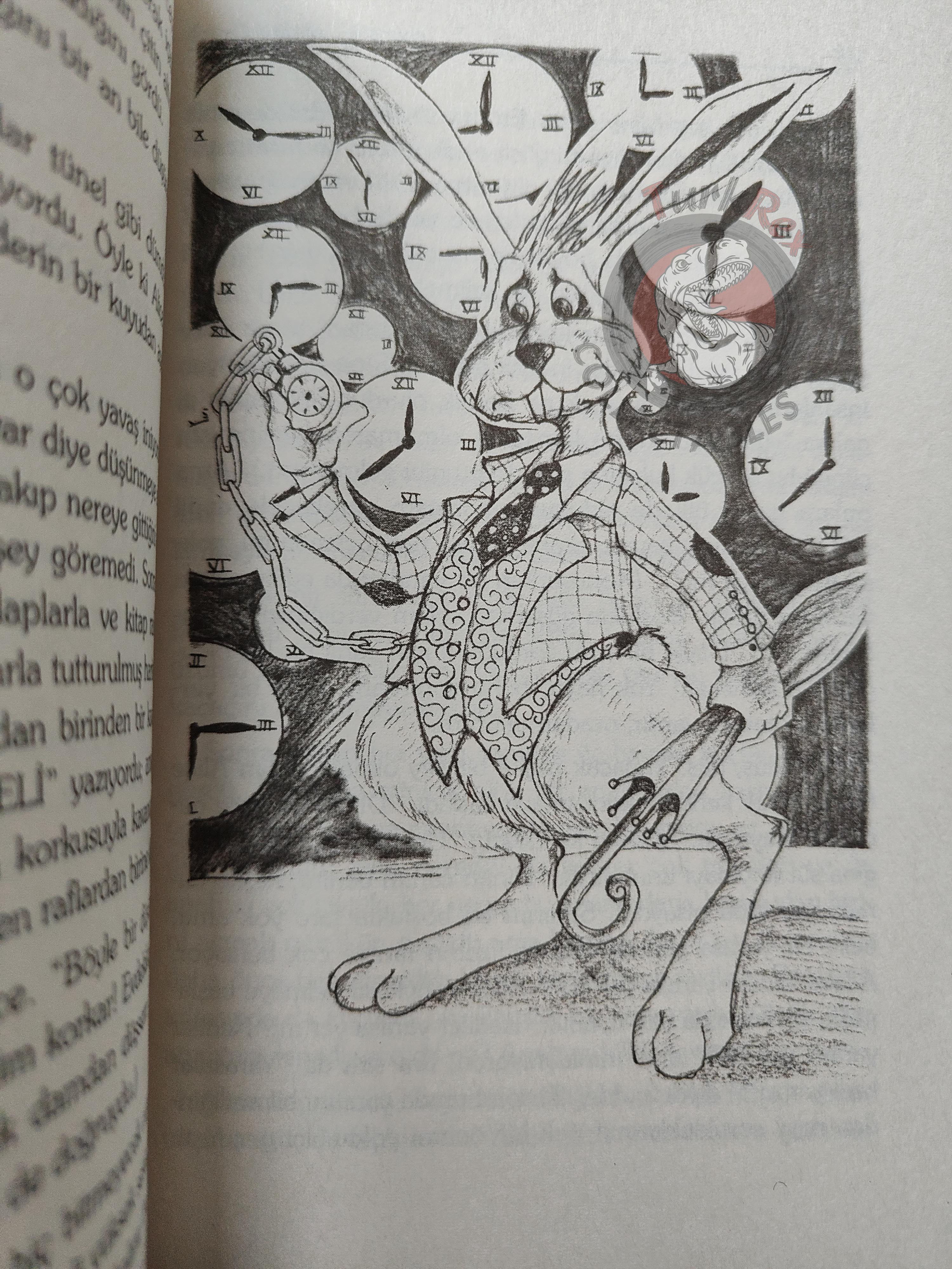 Lewis Carroll – Alice in Wonderland 2004 Turkish Book Turkey Illustrated