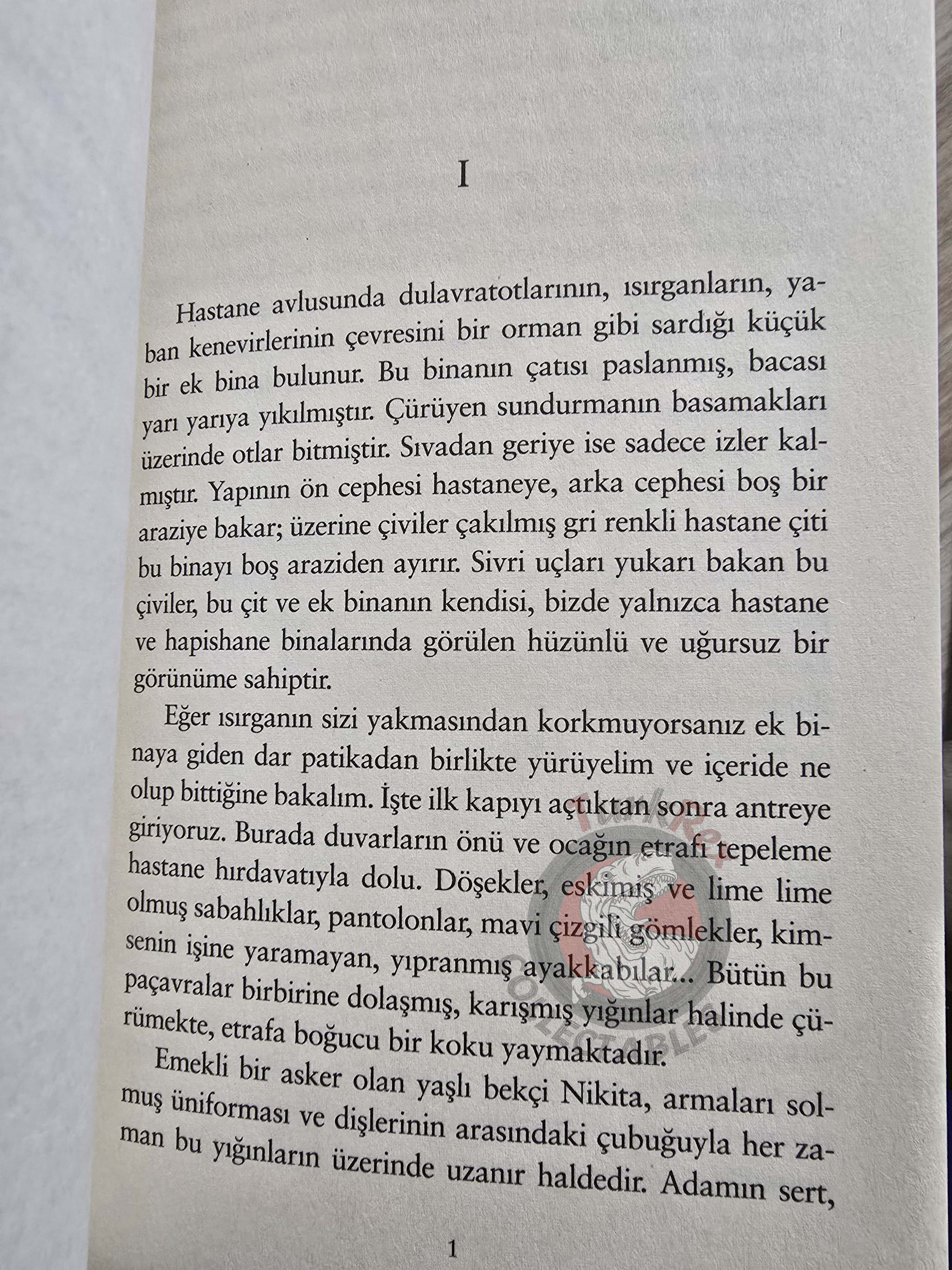 Anton Chekhov –  Ward Number Six  2019 Turkish Book Turkey