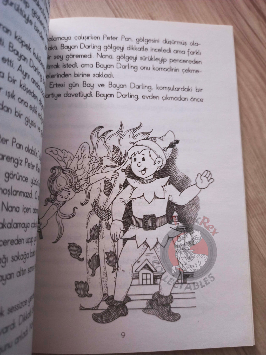 J. M. Barrie – Peter Pan 2010 Turkish Book Turkey Illustrated 1