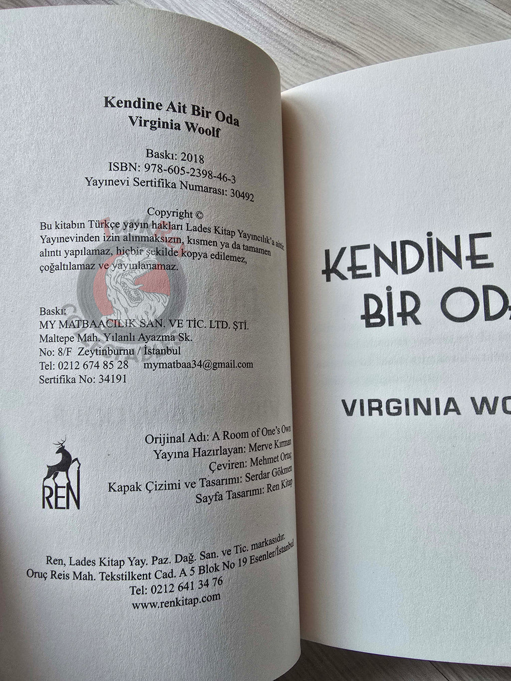 Virginia Woolf – A Room of One’s Own 2018 Turkish Book Turkey