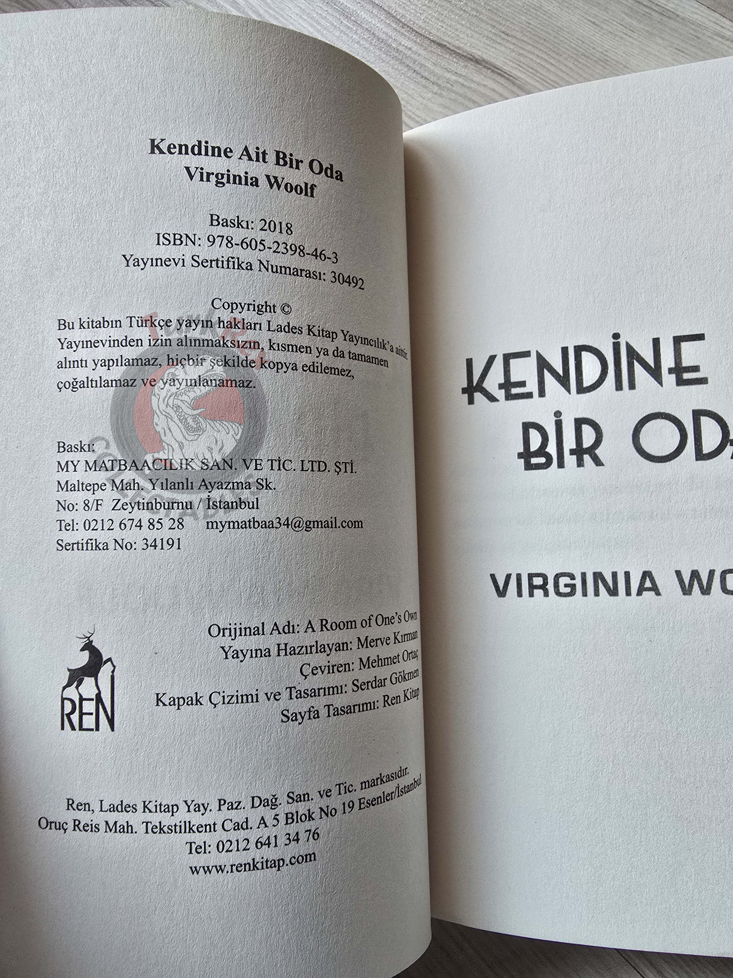 Virginia Woolf – A Room of One’s Own 2018 Turkish Book Turkey