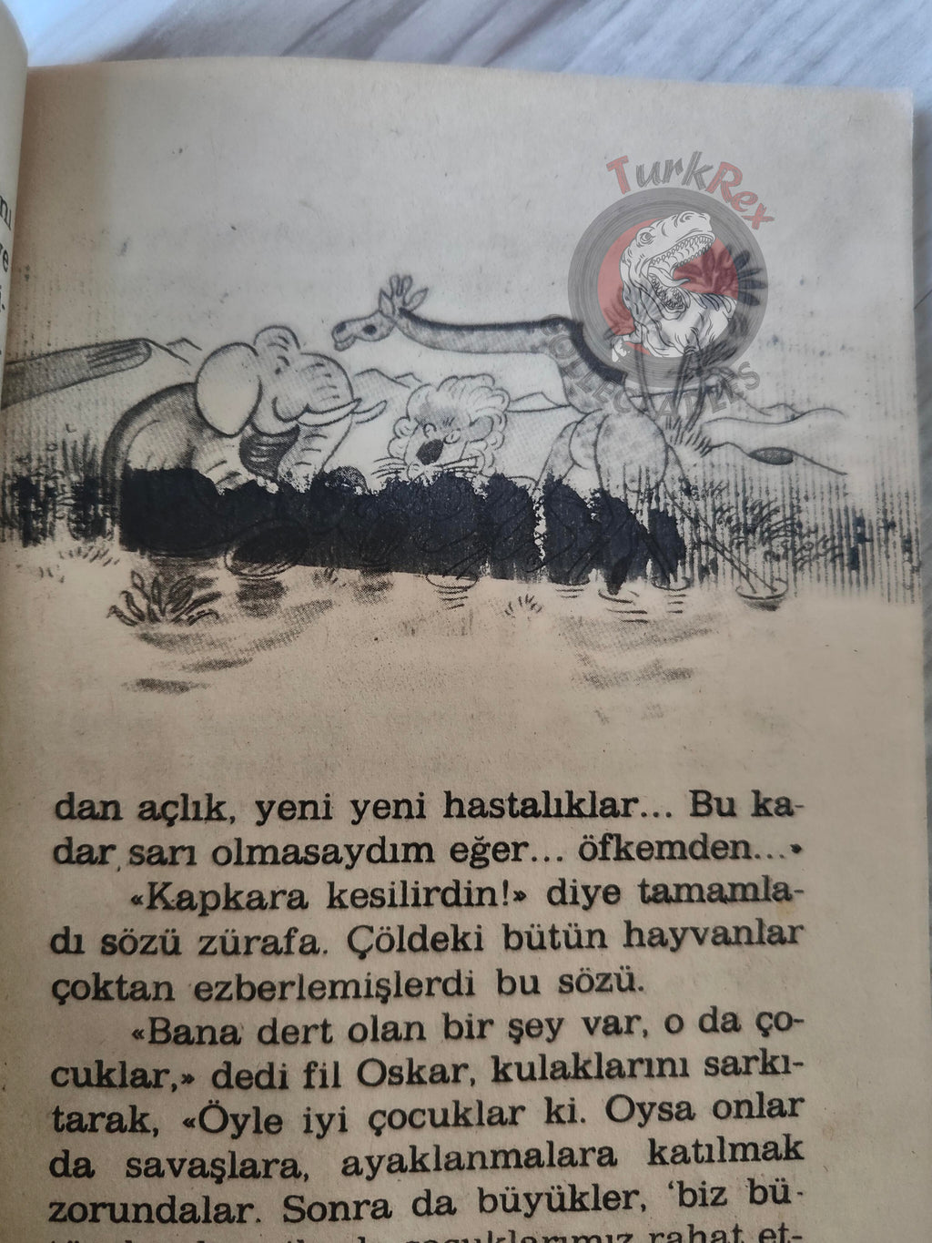 Erich Kästner – Die Konferenz der Tiere 1982 Turkish Book Turkey Illustrated