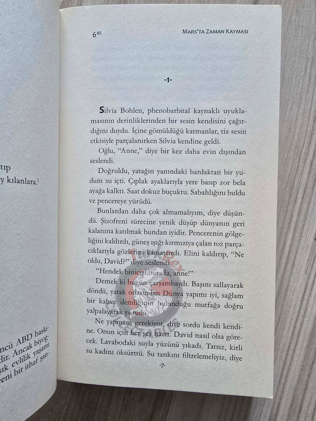Philip K. Dick – Martian Time-Slip 2015 Turkish Book Turkey