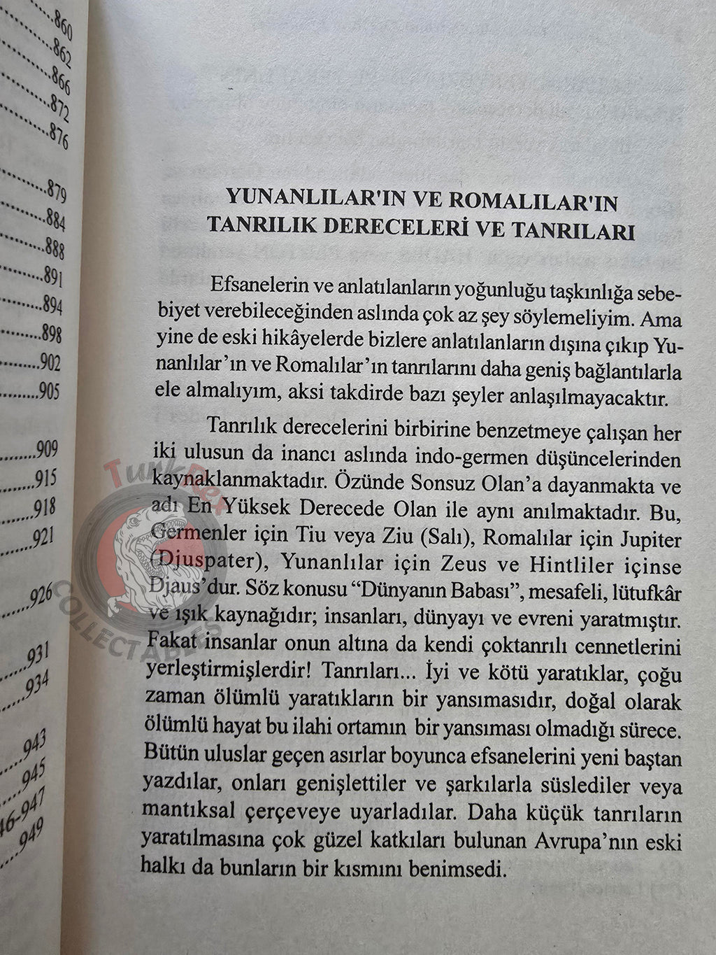 Gustav Schwab – Gods and Heroes: Myths and Epics of Ancient Greece 2015 Turkish Book Turkey