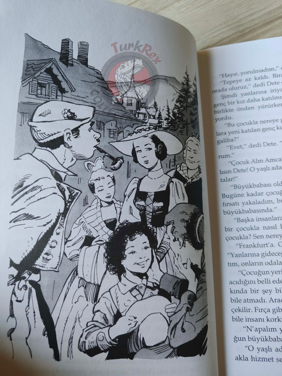Johanna Spyri – Heidi 2002 Turkish Book Turkey Illustrated