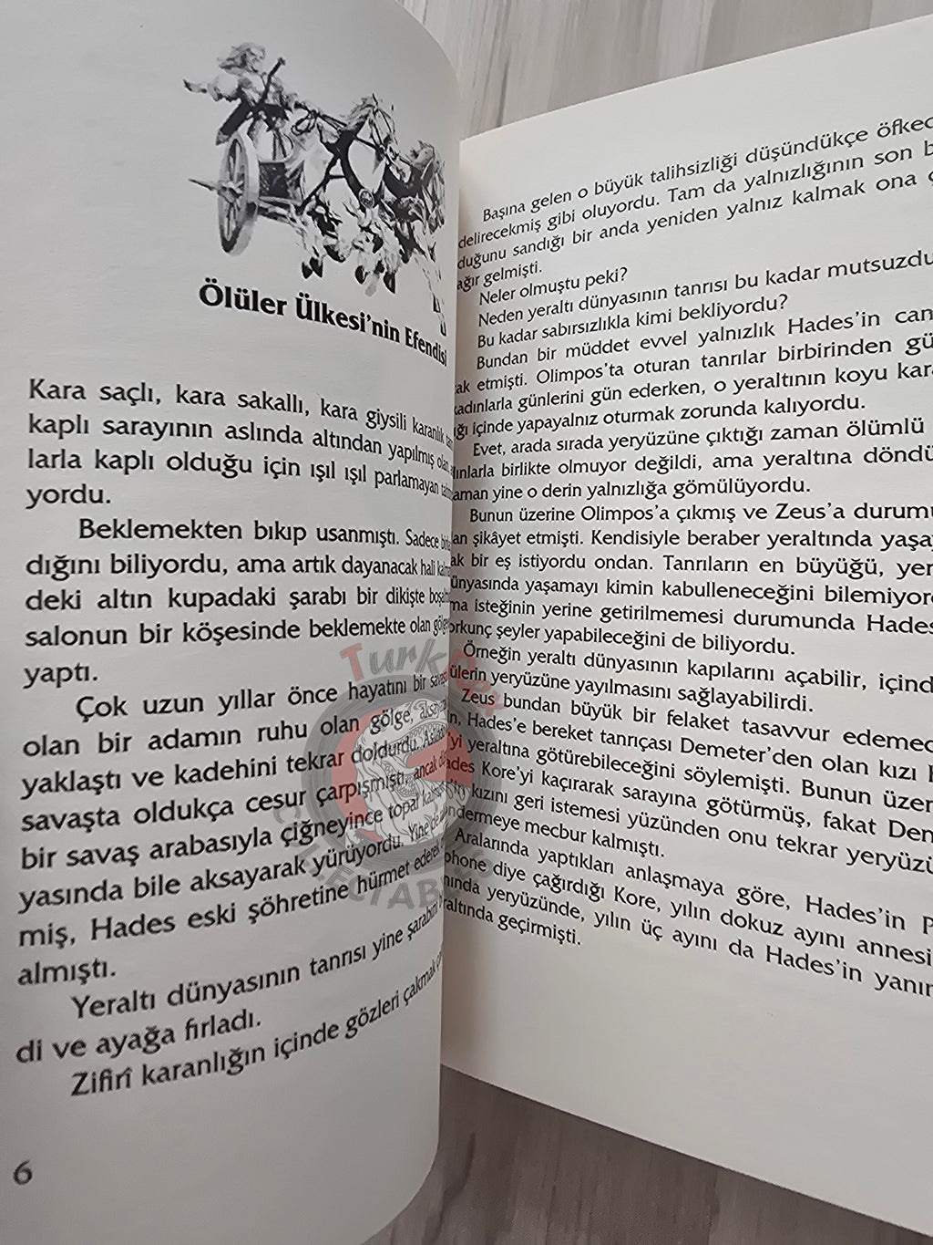 Hades – Robert Krugmann 2003 Turkish Book Turkey Illustrated by Turkish Artist