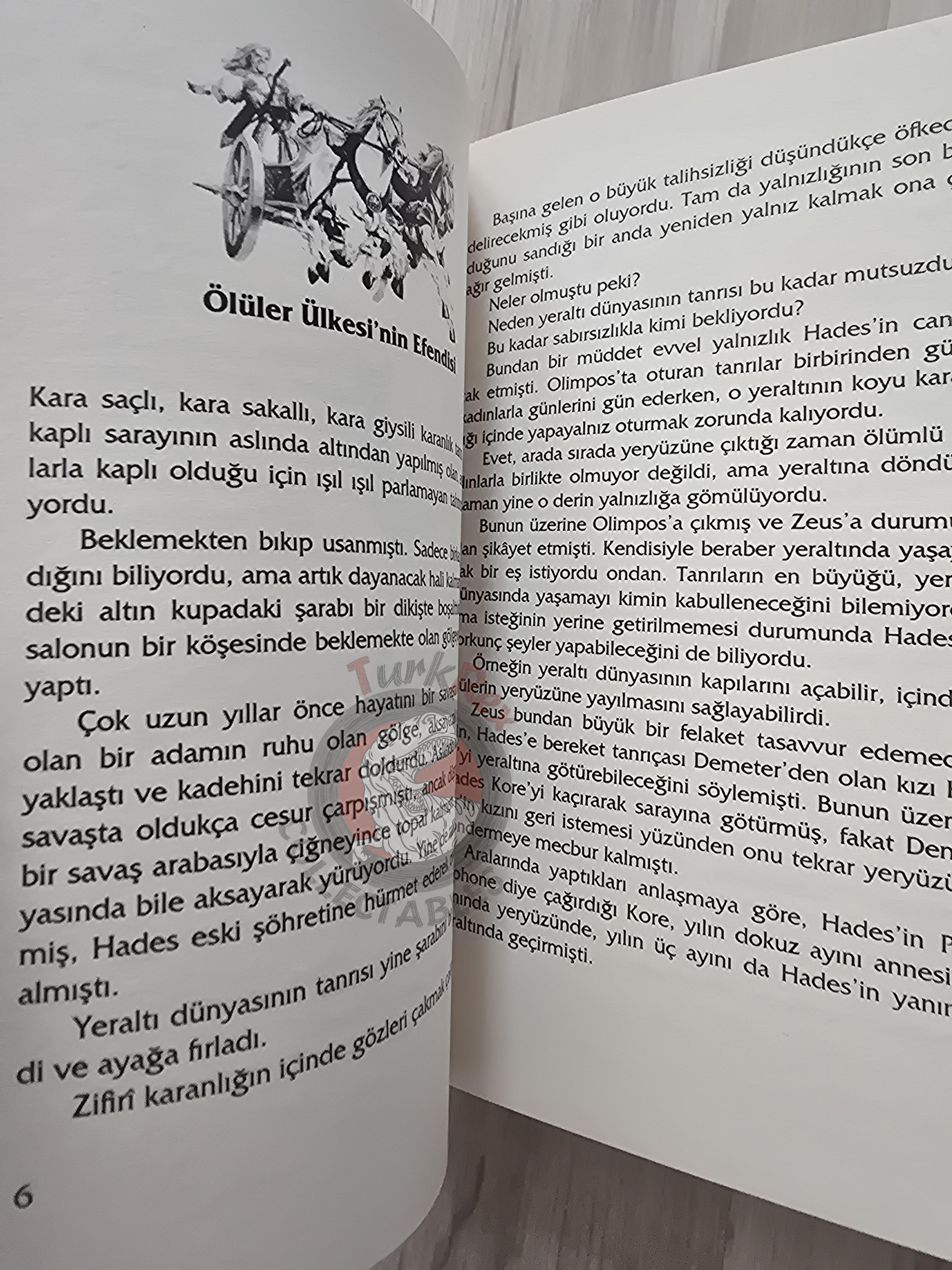 Hades – Robert Krugmann 2003 Turkish Book Turkey Illustrated by Turkish Artist