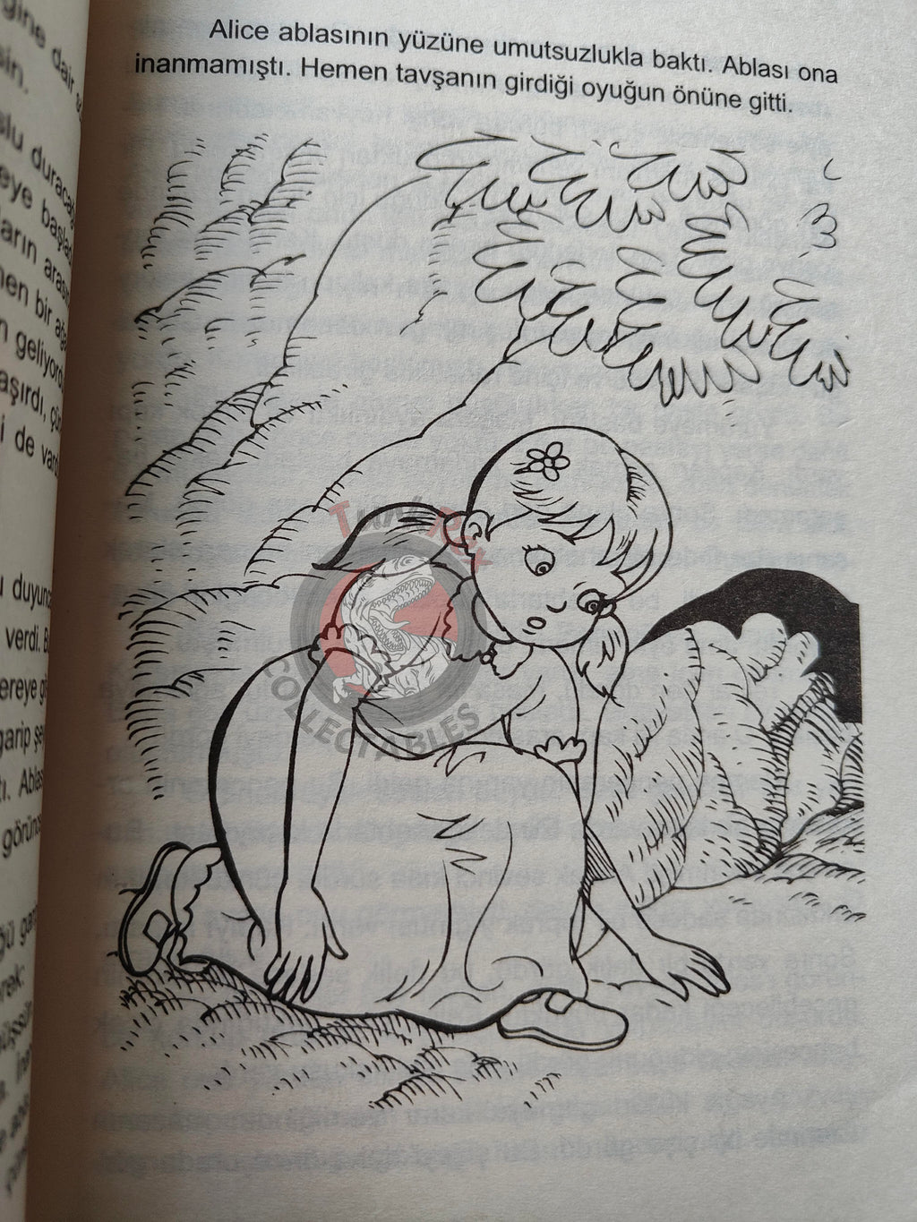 Lewis Carroll – Alice in Wonderland 2000s Turkish Book Turkey Illustrated 2