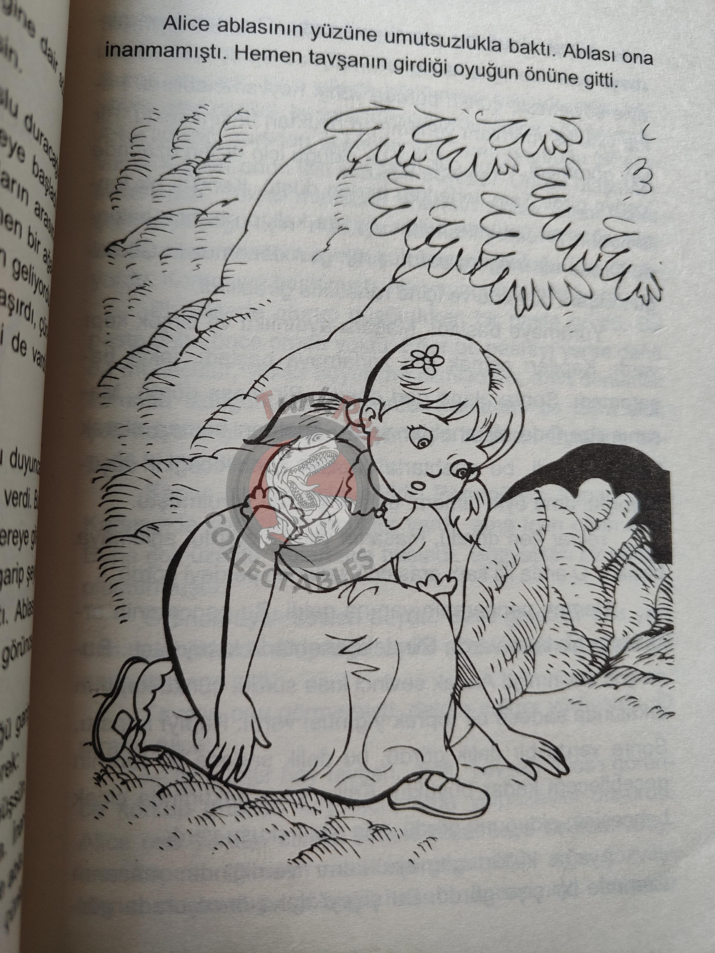Lewis Carroll – Alice in Wonderland 2000s Turkish Book Turkey Illustrated 2
