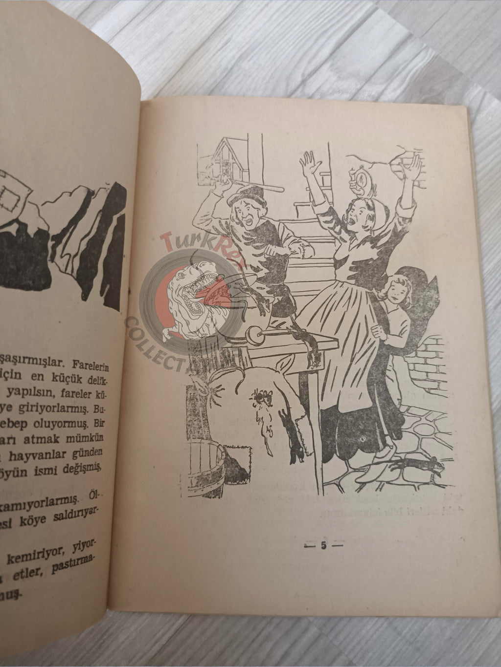 Grimm Brothers – Pied Piper of Hamelin 1973 Turkish Book Turkey Illustrated 2