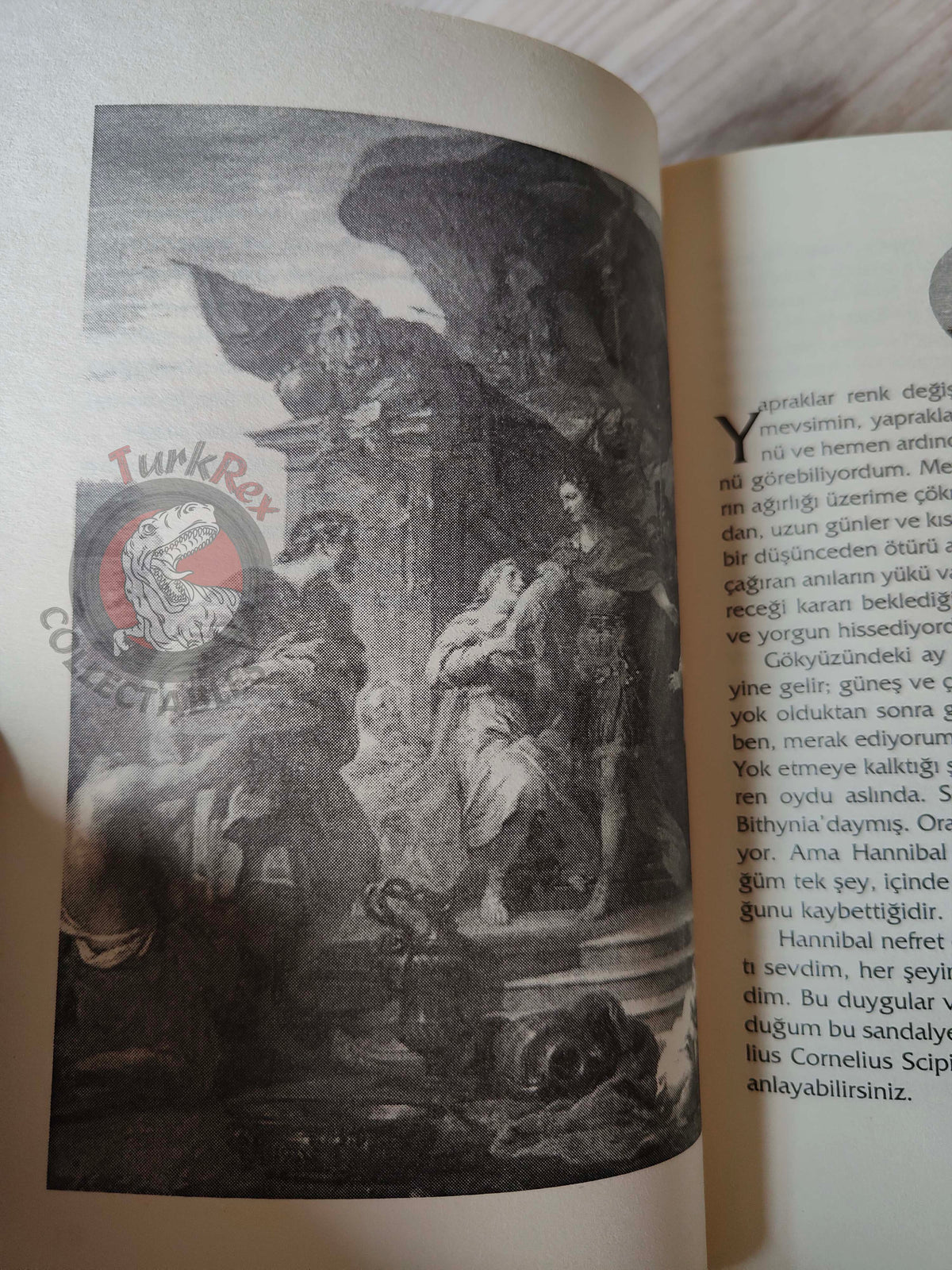 Ross Leckie – Scipio 2007 Turkish Book Turkey Illustrated