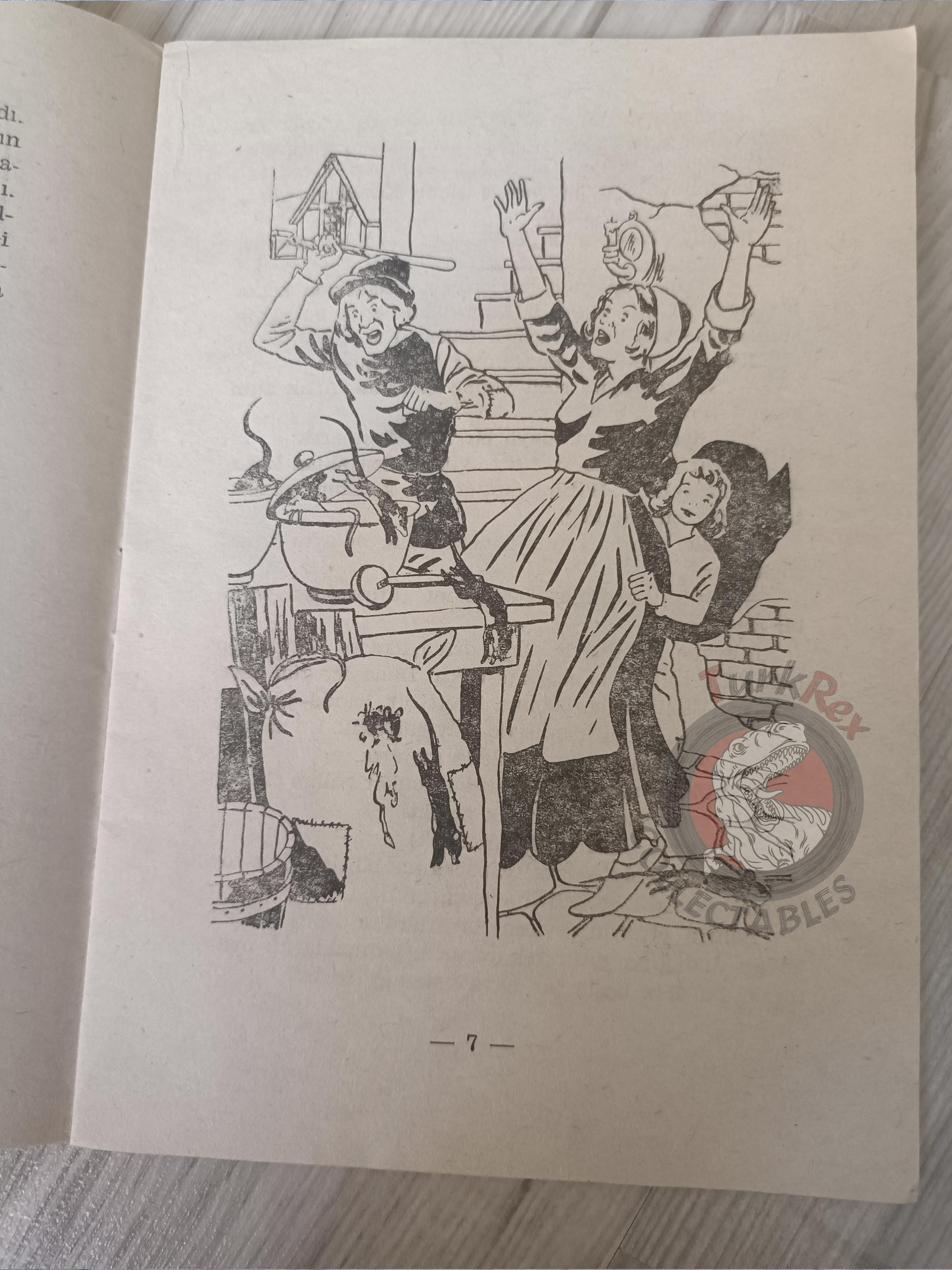 Grimm Brothers – Pied Piper of Hamelin 1973 Turkish Book Turkey Illustrated