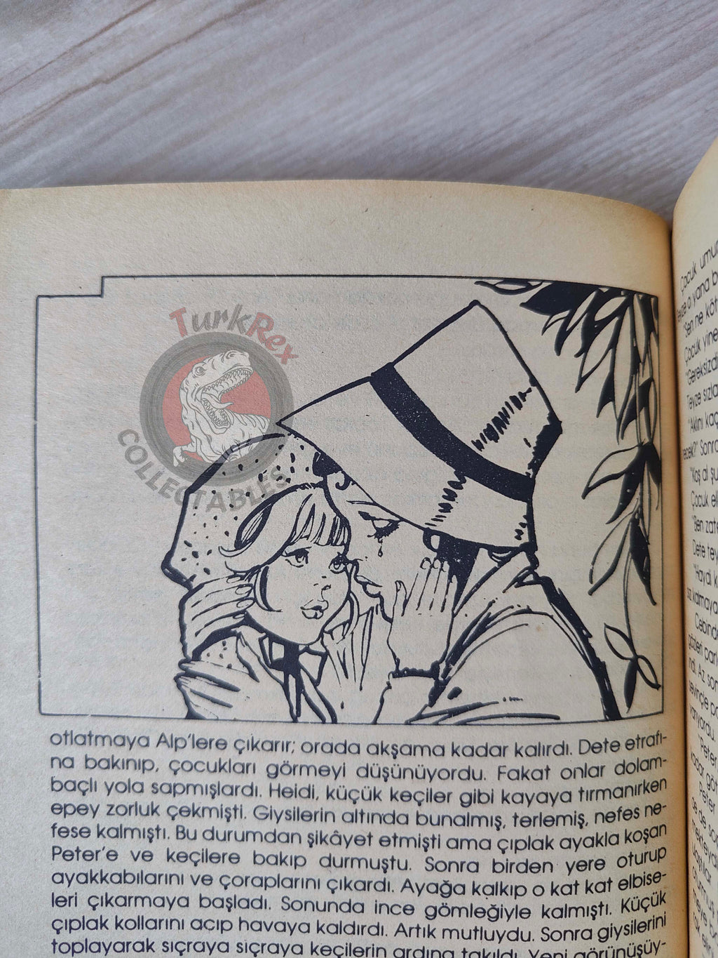 Johanna Spyri – Heidi 1980s Turkish Book Turkey Illustrated
