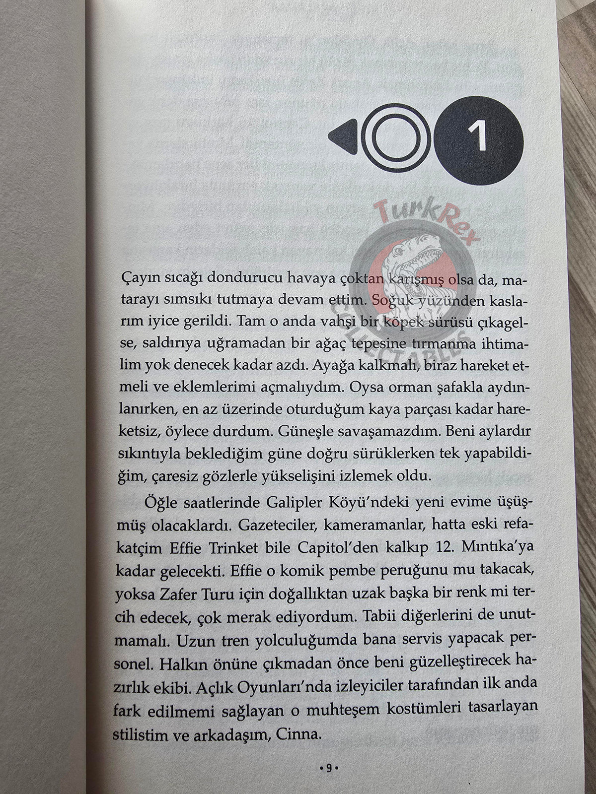 Suzanne Collins – Catching Fire Turkish Book Turkey The Hunger Games