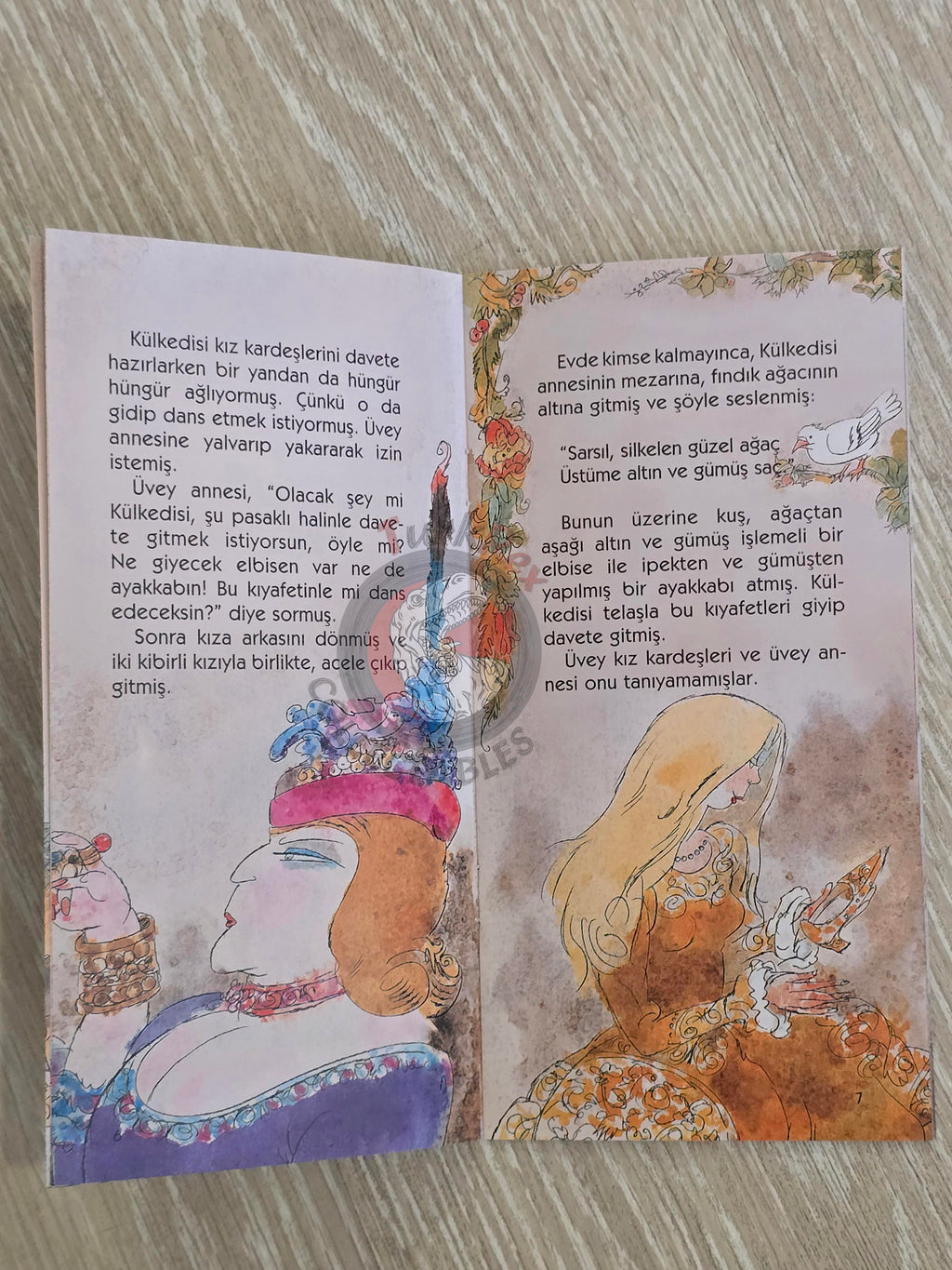 Grimm Brothers – Cinderella 2011 Turkish Book Turkey Illustrated 2