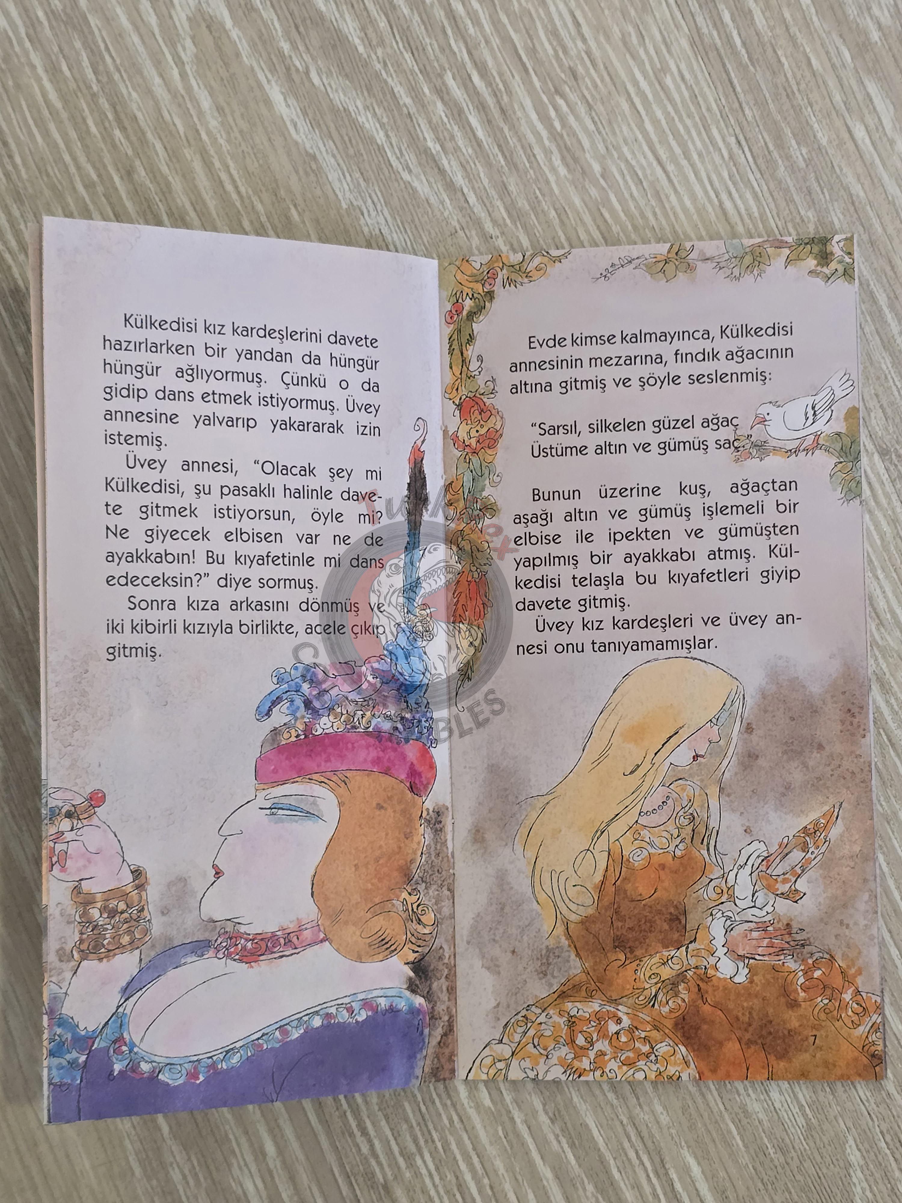 Grimm Brothers – Cinderella 2011 Turkish Book Turkey Illustrated 2