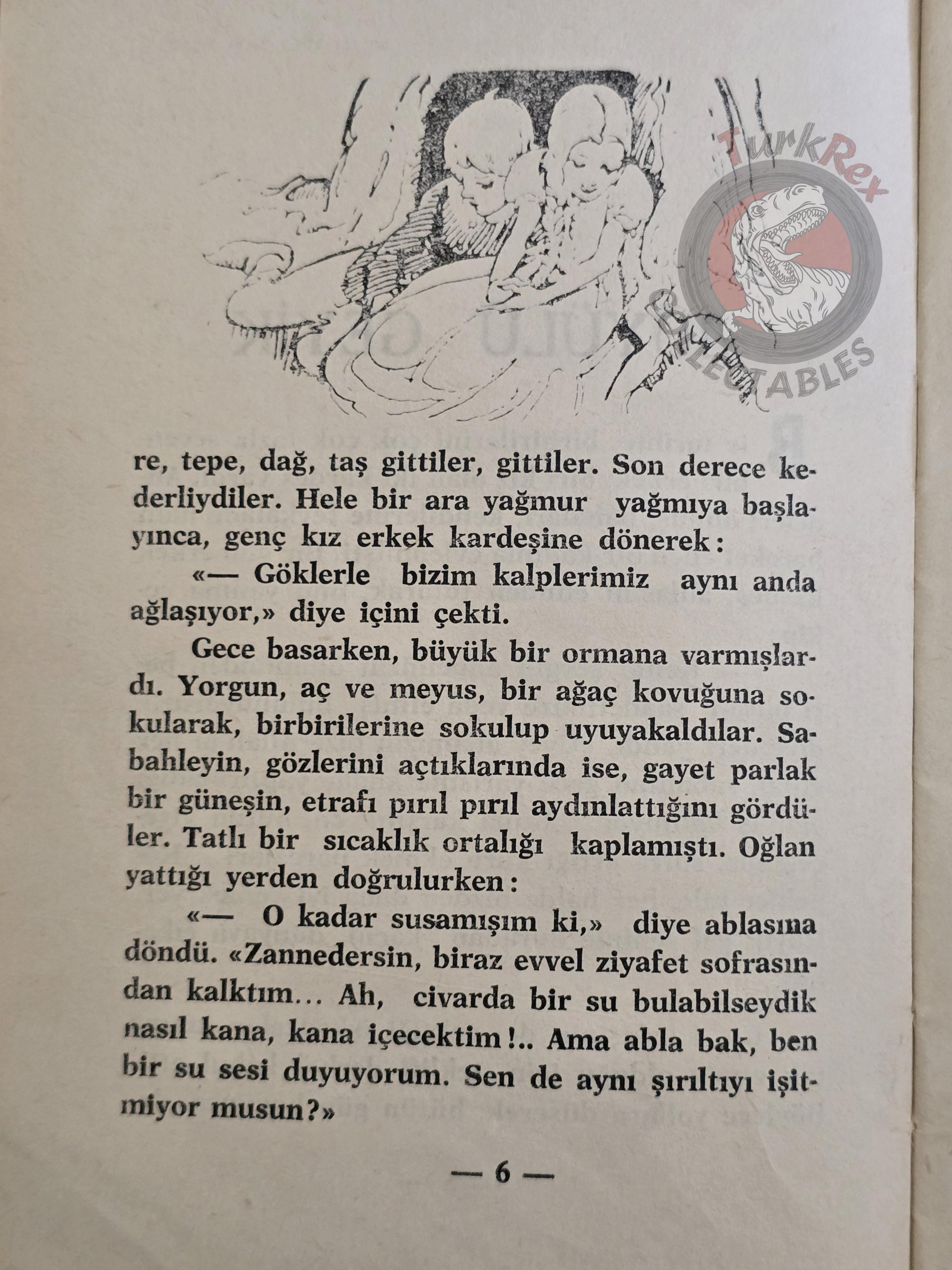 Grimm Brothers – Brother and Sister 1961 Turkish Book Turkey Illustrated