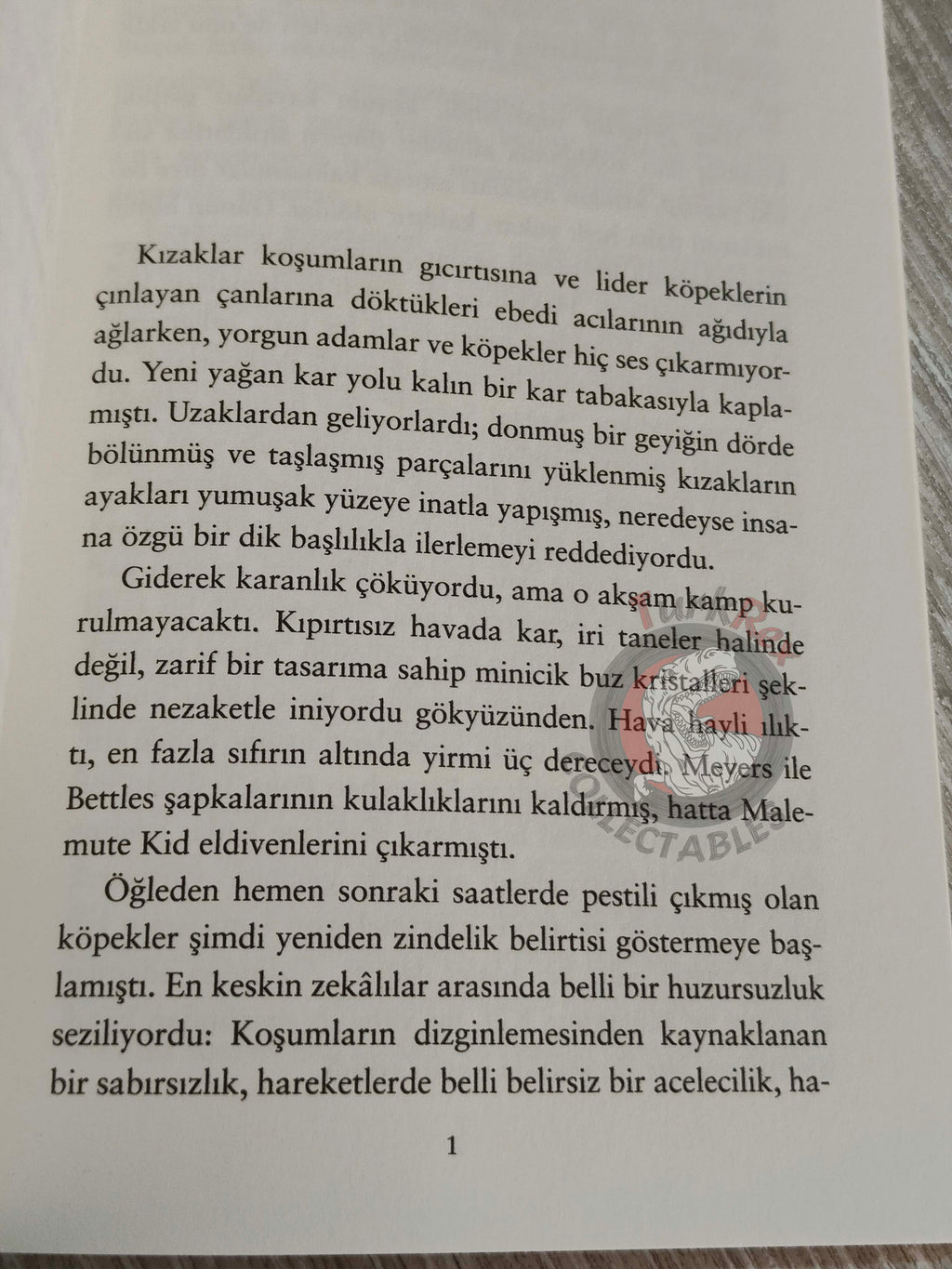 Jack London  – An Odyssey of the North Turkish Book Turkey
