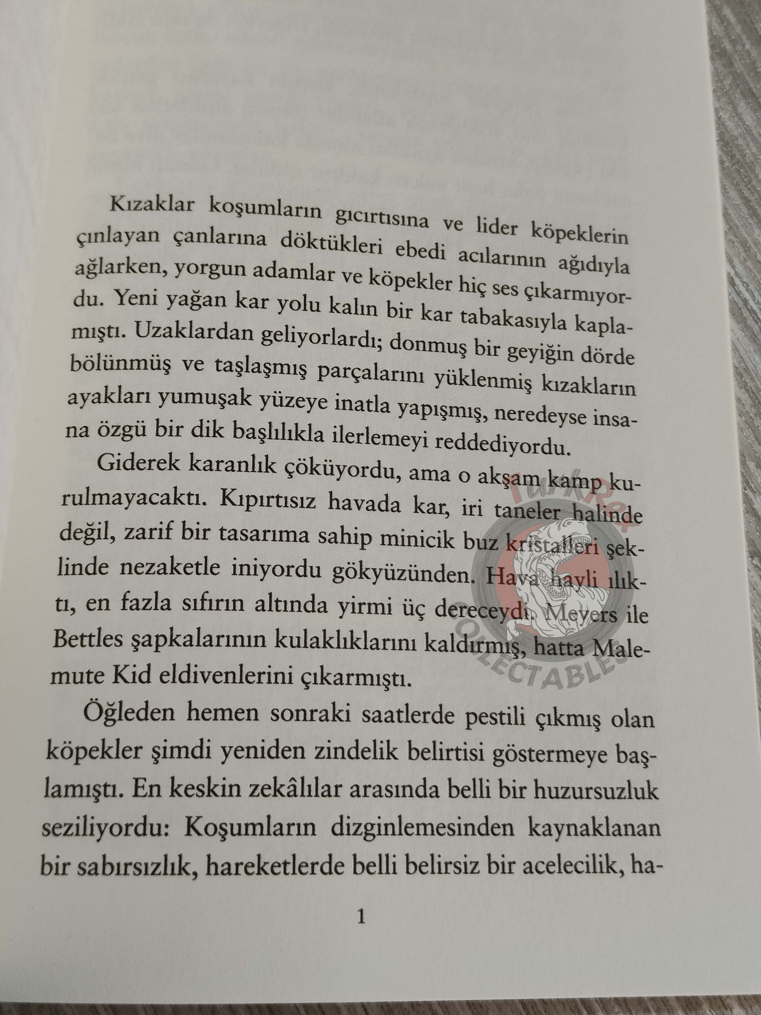 Jack London  – An Odyssey of the North Turkish Book Turkey