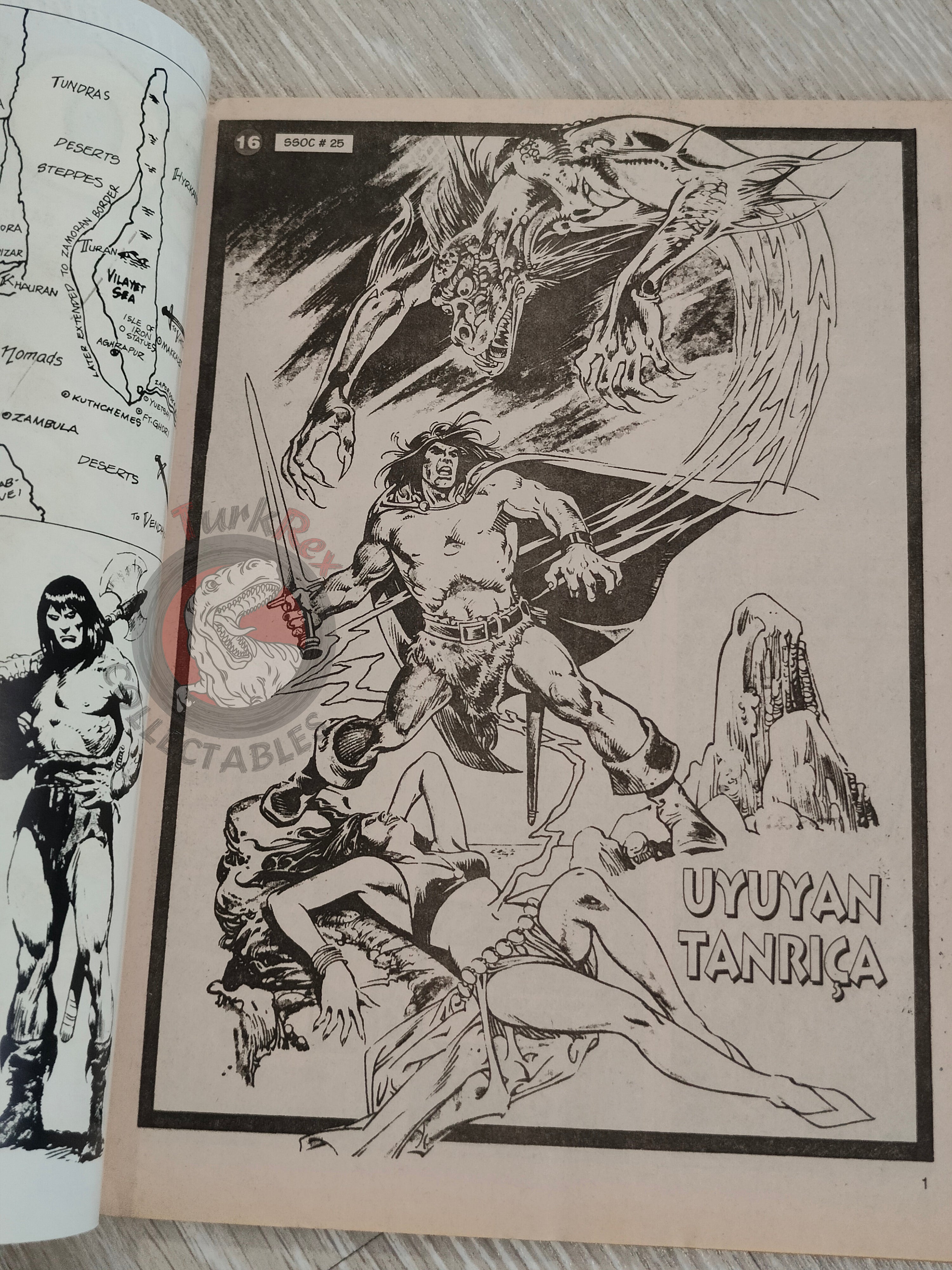 Conan #16 The Savage Sword of Conan #25 #29 Turkish Comic Turkey