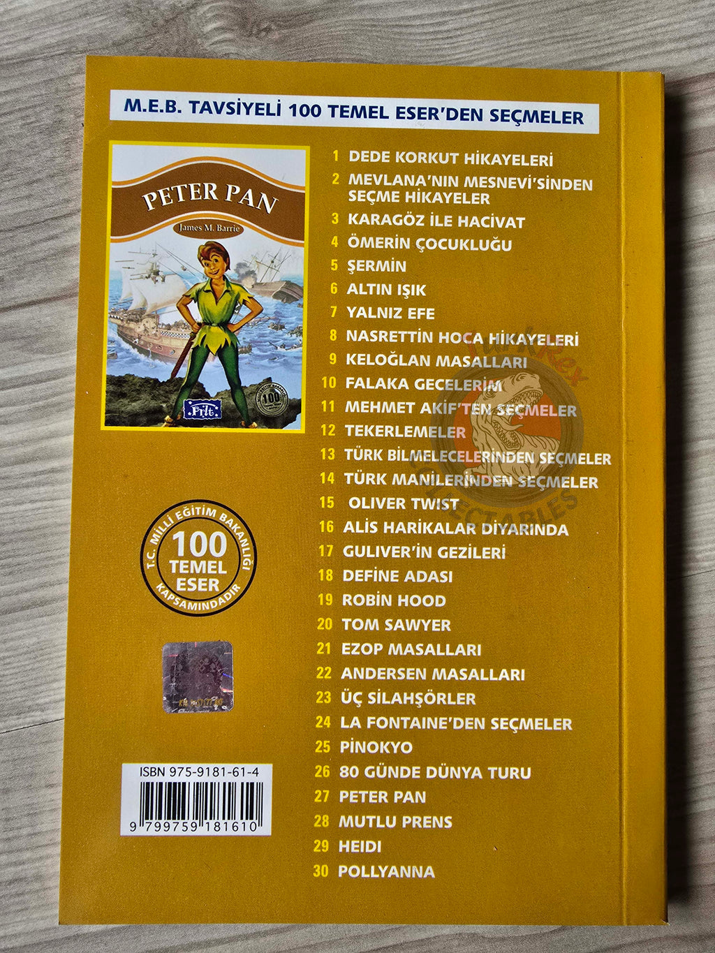 J. M. Barrie – Peter Pan 2011 Turkish Book Turkey 3
