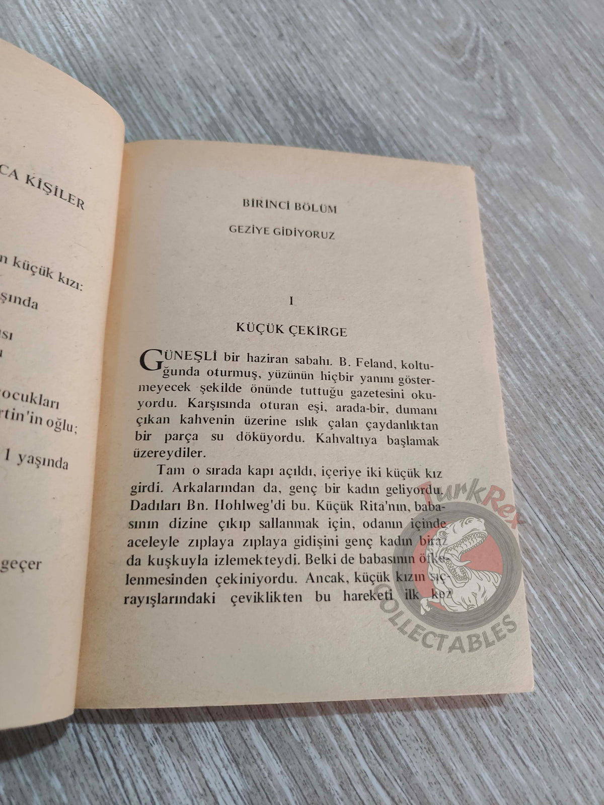 Johanna Spyri – Little Miss Grasshopper 1970s Turkish Book Turkey Illustrated