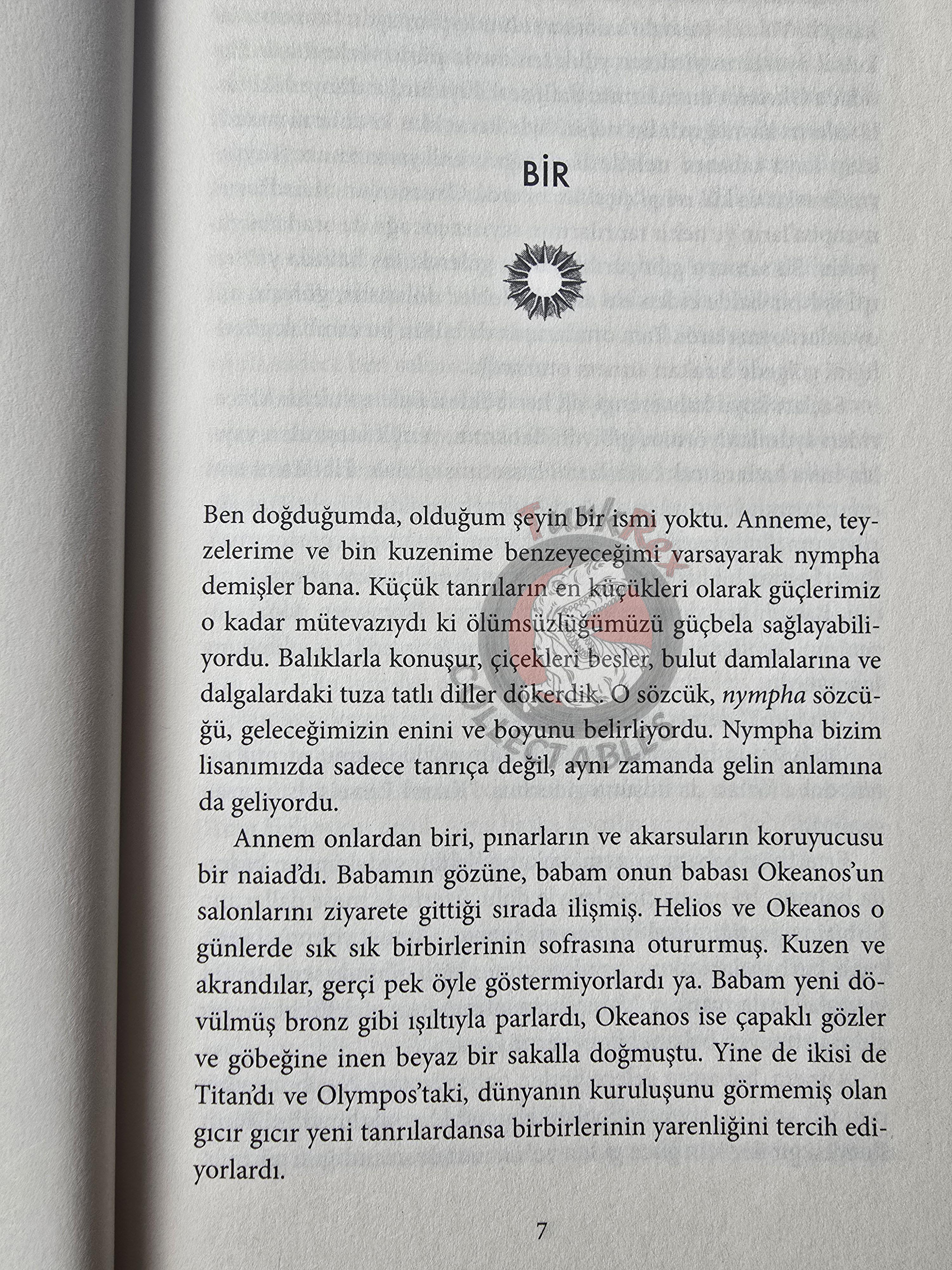 Madeline Miller – Circe 2020 Turkish Book Turkey