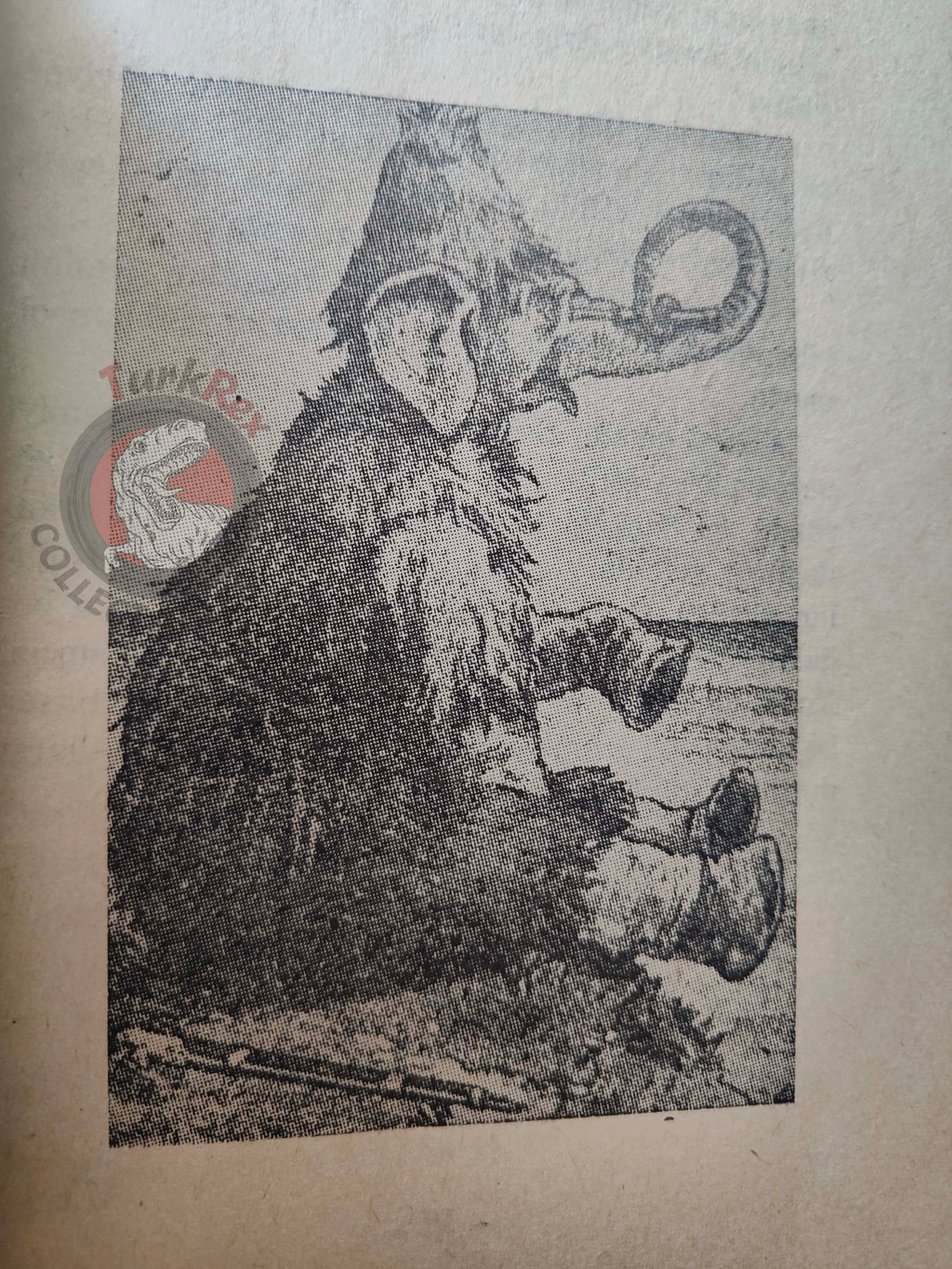Clifton Bingham – Jumbo Crusoe 1970s Turkish Book Turkey Illustrated