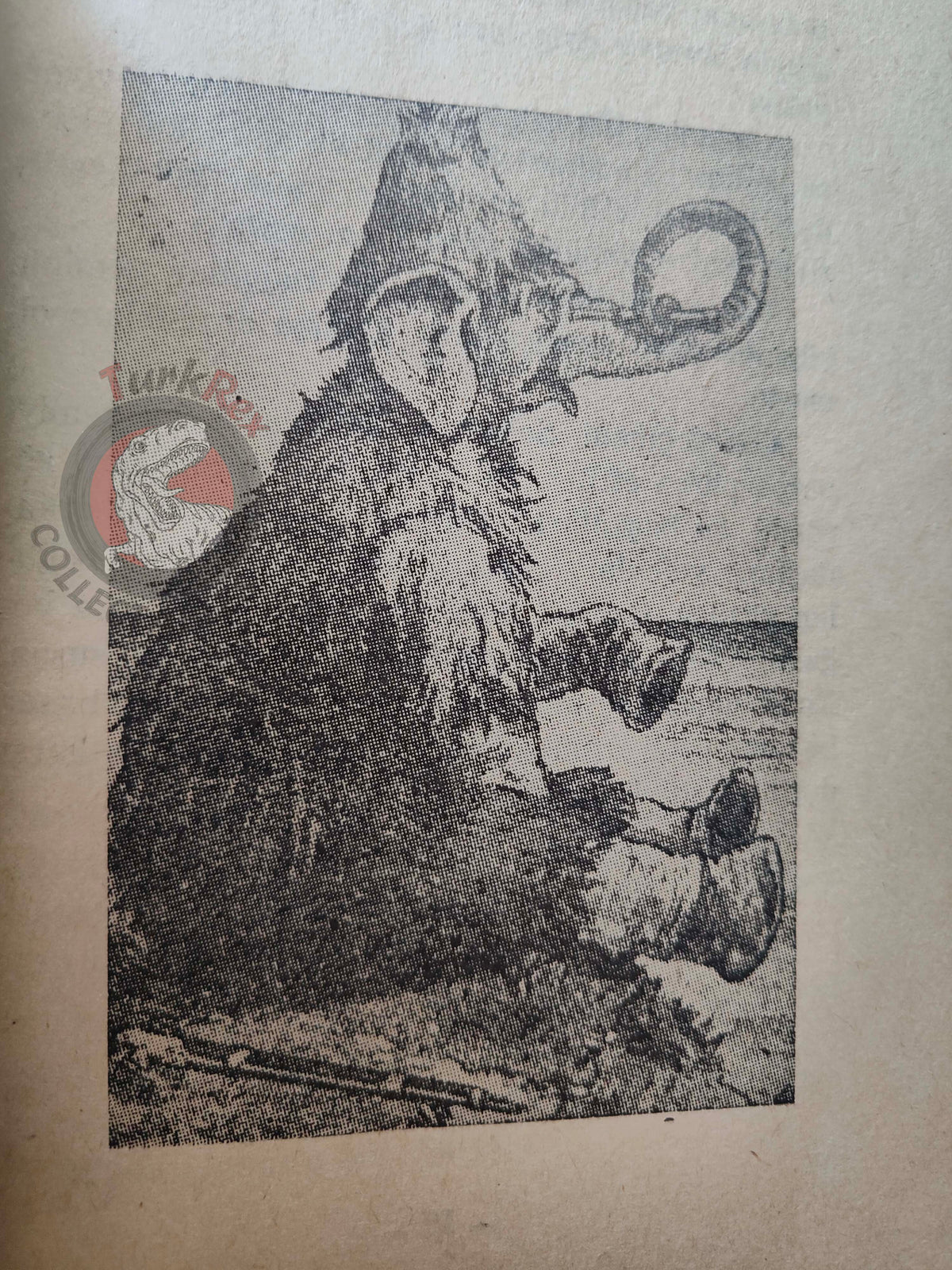 Clifton Bingham – Jumbo Crusoe 1970s Turkish Book Turkey Illustrated