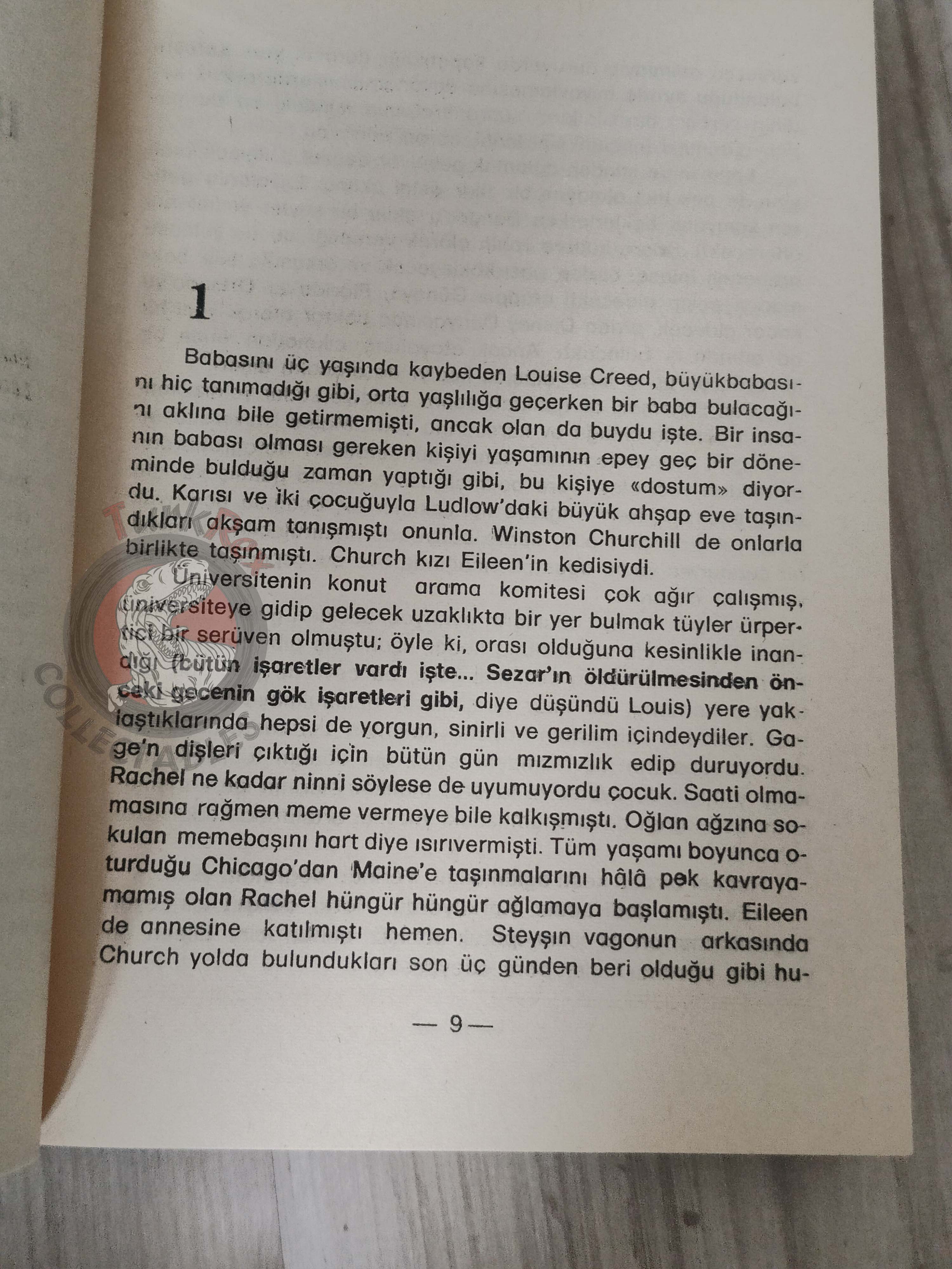 Stephen King – Pet Sematary 1984 1st Turkish Book Turkey