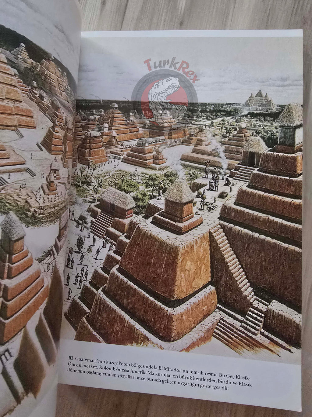 Michael D. Coe – The Maya 2002 1st Turkish Book Turkey
