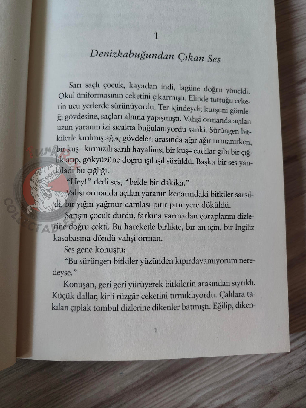 William Golding – Lord of the Flies 2015 Turkish Book Turkey