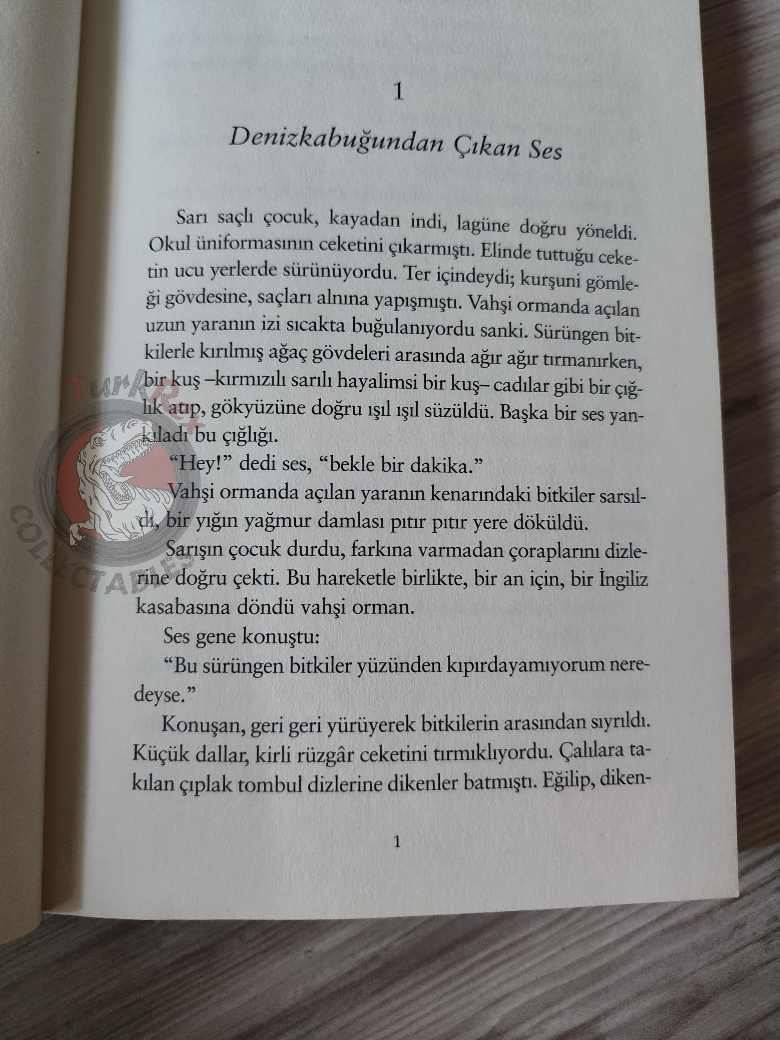 William Golding – Lord of the Flies 2015 Turkish Book Turkey