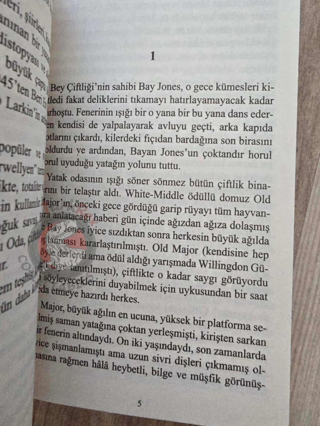 George Orwell – Animal Farm 2021 Turkish Book Turkey