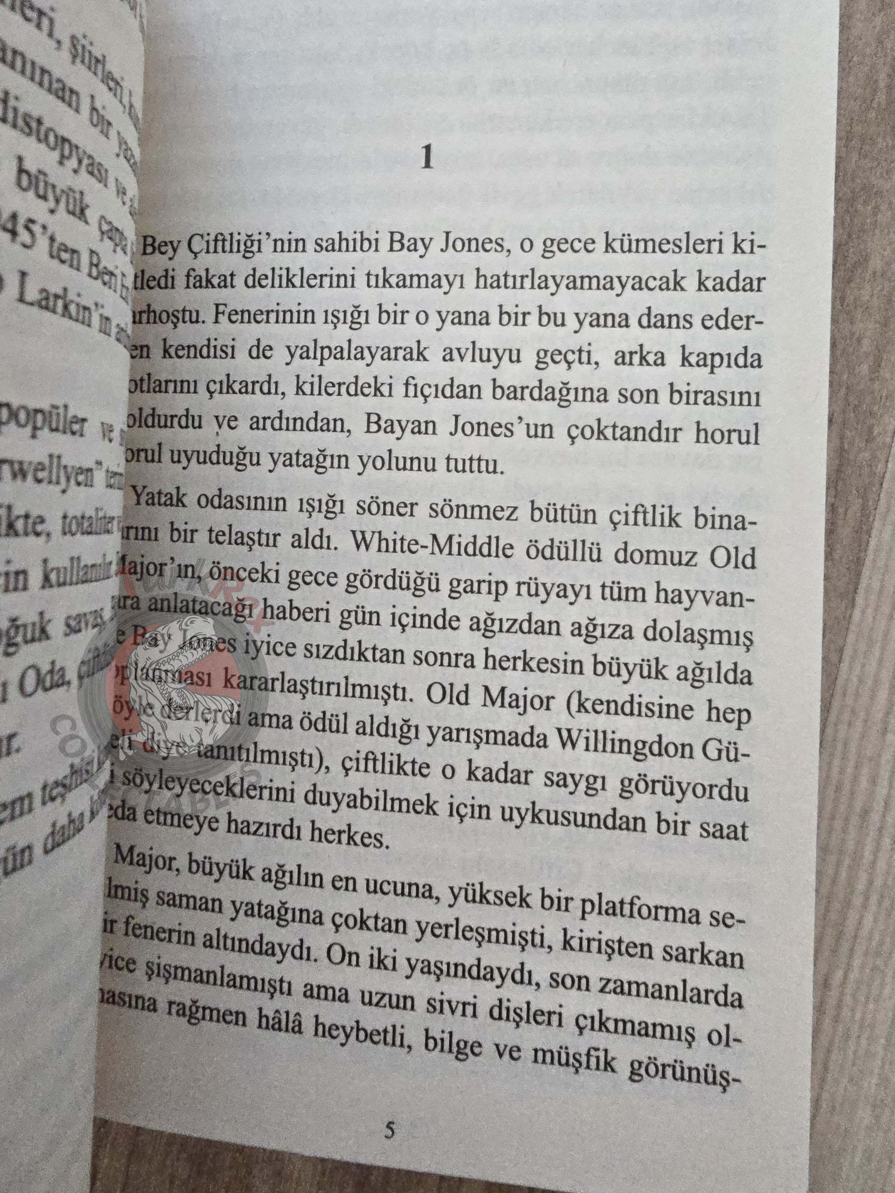 George Orwell – Animal Farm 2021 Turkish Book Turkey