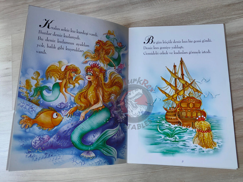 Hans Christian Andersen – The Little Mermaid 2000s Turkish Book Turkey Illustrated