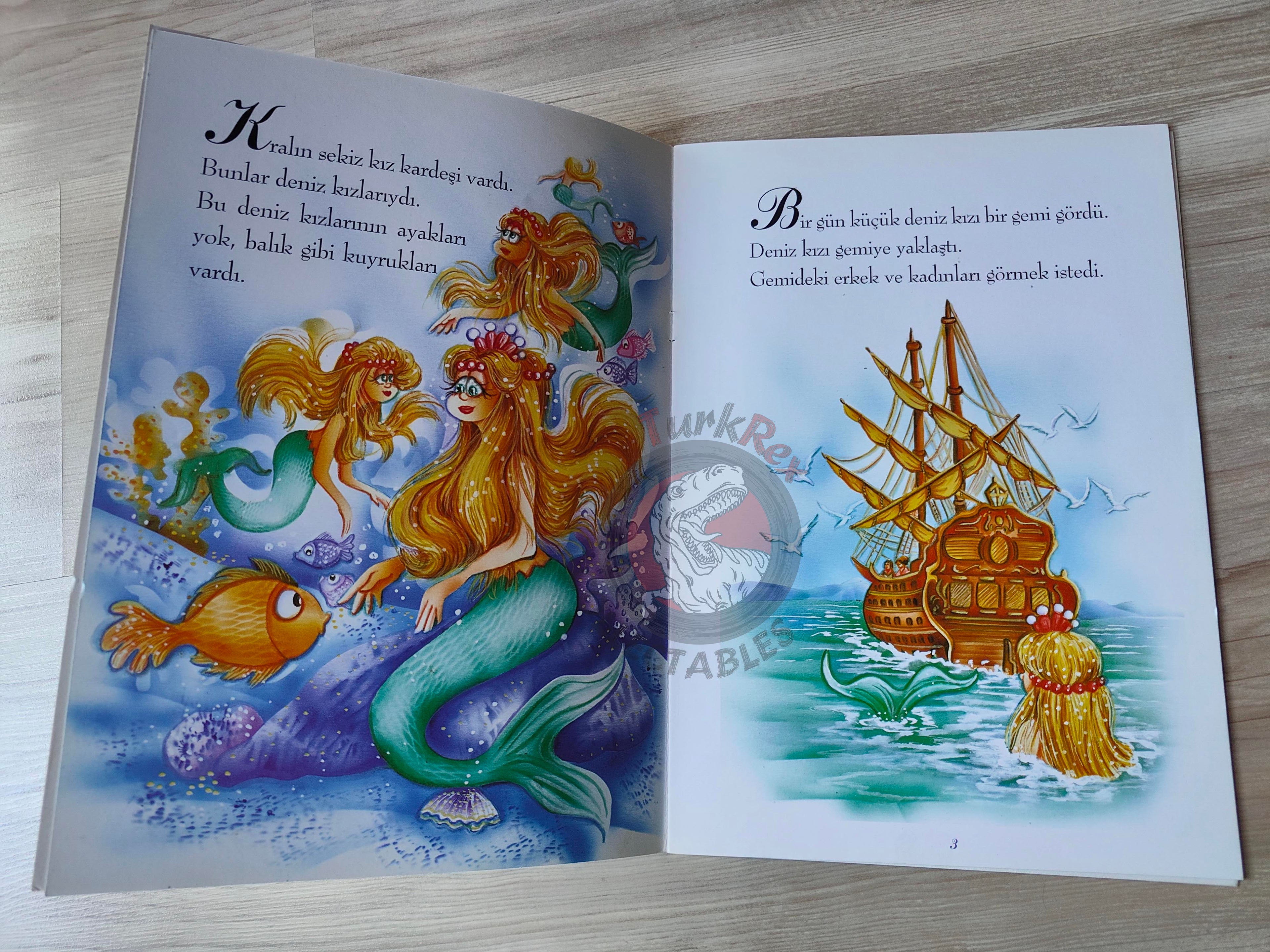 Hans Christian Andersen – The Little Mermaid 2000s Turkish Book Turkey Illustrated