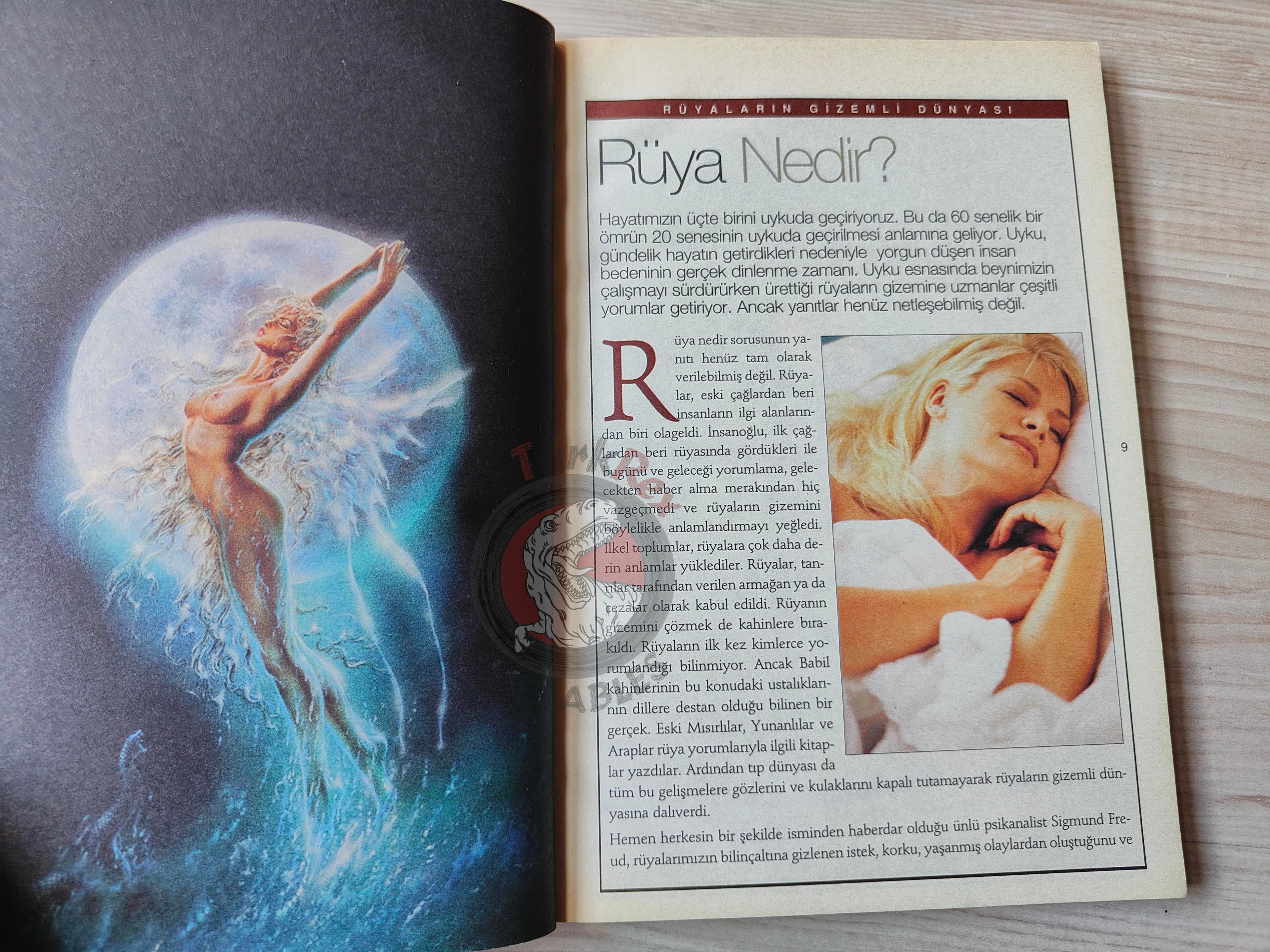 Dream Interpretation Analysis 2006 Turkish Book Turkey
