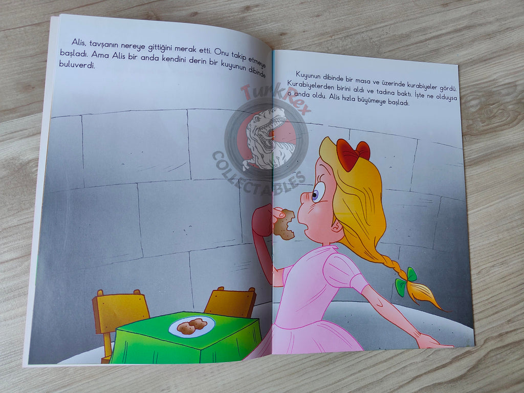 Lewis Carroll – Alice in Wonderland 2011 Turkish Book Turkey Illustrated 2
