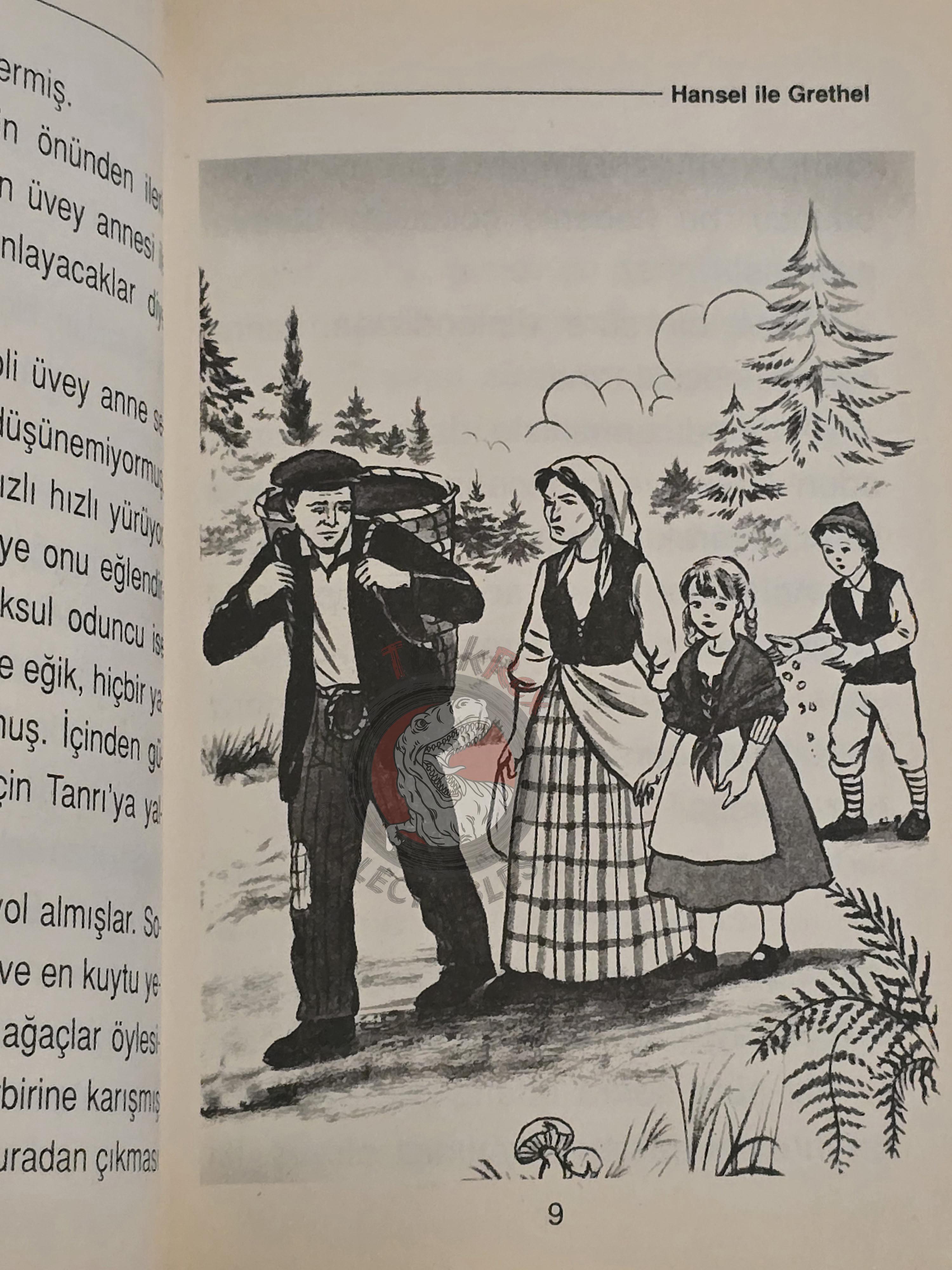 Grimm Brothers –  Hansel and Gretel 2005 Turkish Book Turkey Illustrated