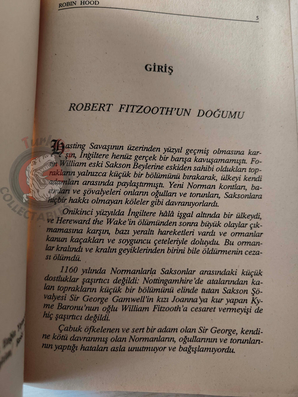 Robin Hood – R. N. Green 1992 Turkish Book Turkey Illustrated