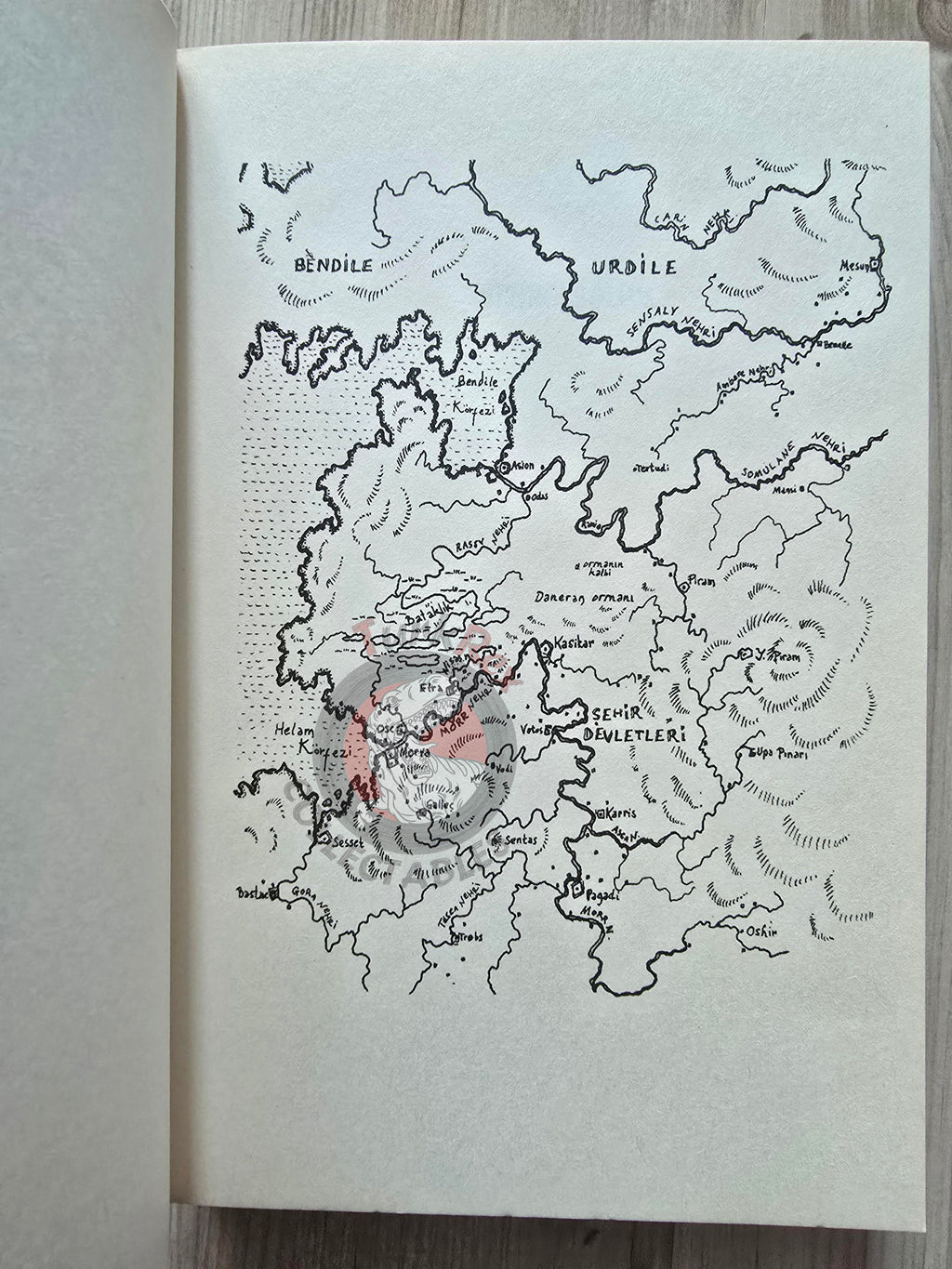 Ursula K. Le Guin – Powers 2010 Turkish Book Turkey