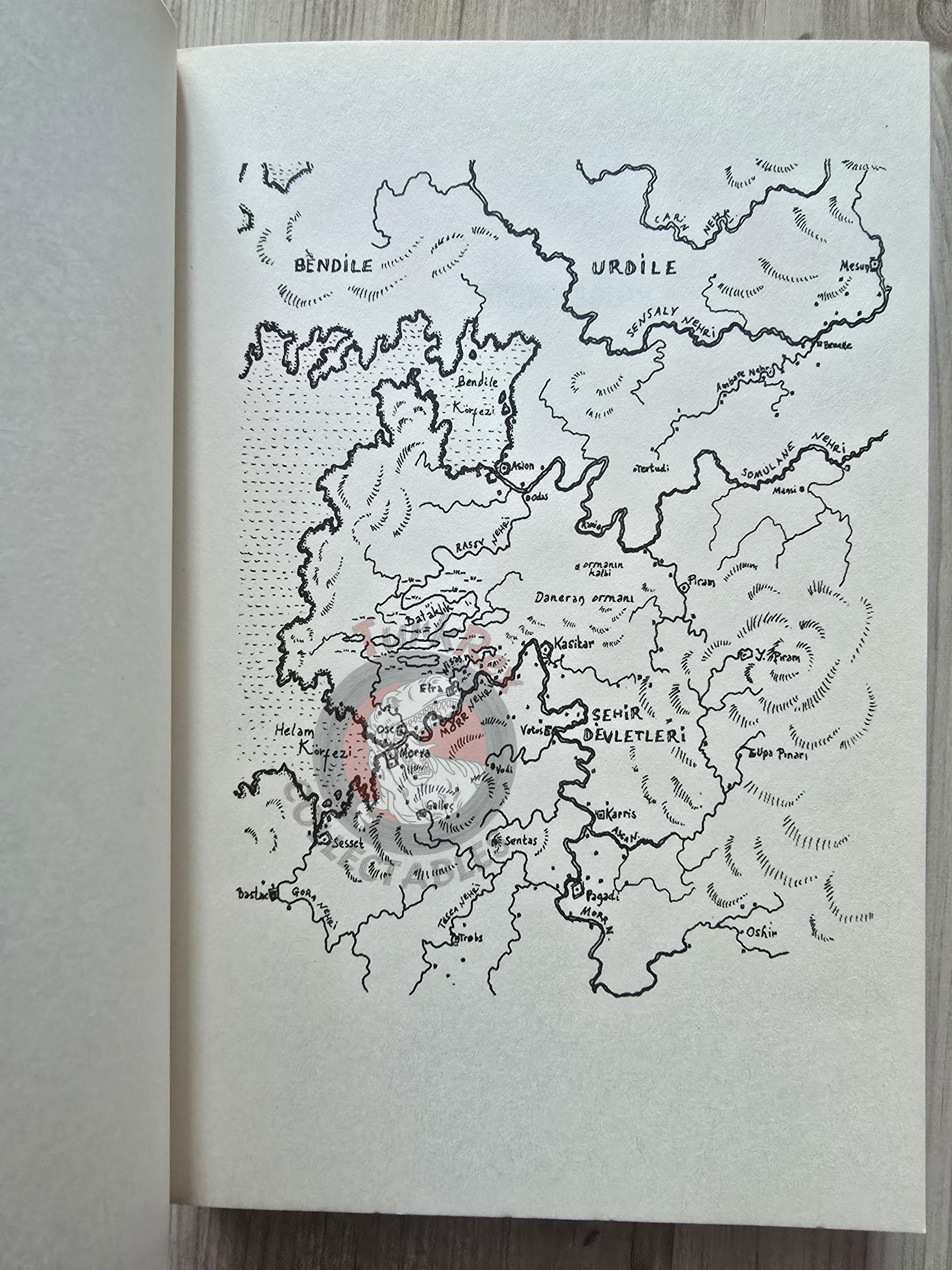 Ursula K. Le Guin – Powers 2010 Turkish Book Turkey