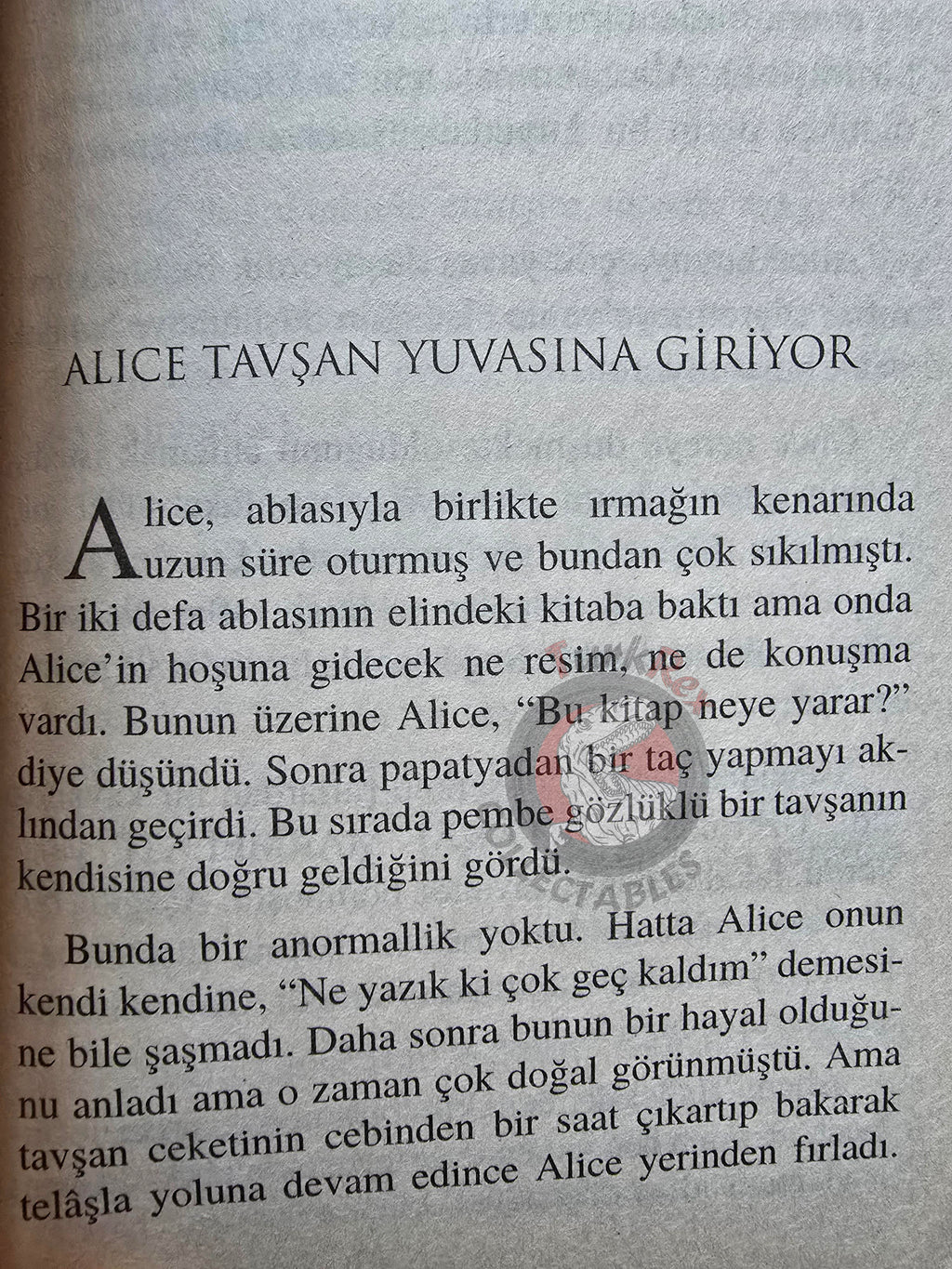 Lewis Carroll – Alice in Wonderland 2010 Turkish Book Turkey