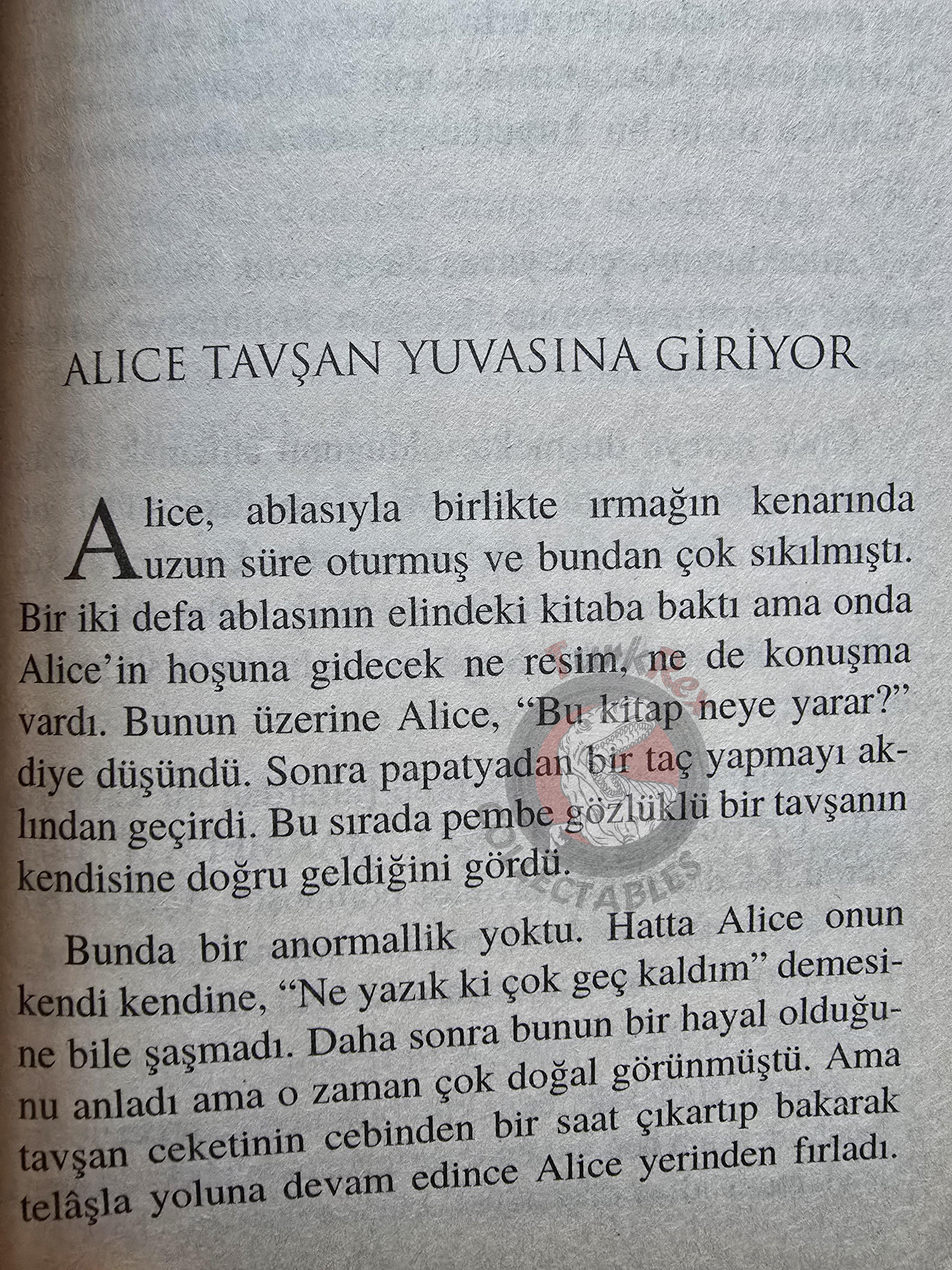 Lewis Carroll – Alice in Wonderland 2010 Turkish Book Turkey