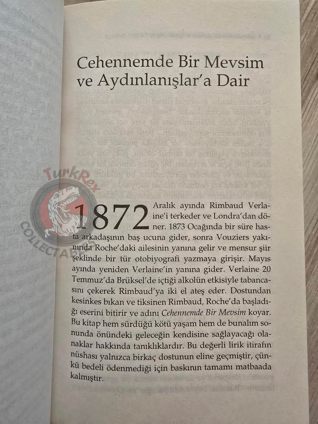 Arthur Rimbaud – A Season in Hell 2011 Turkish Book Turkey