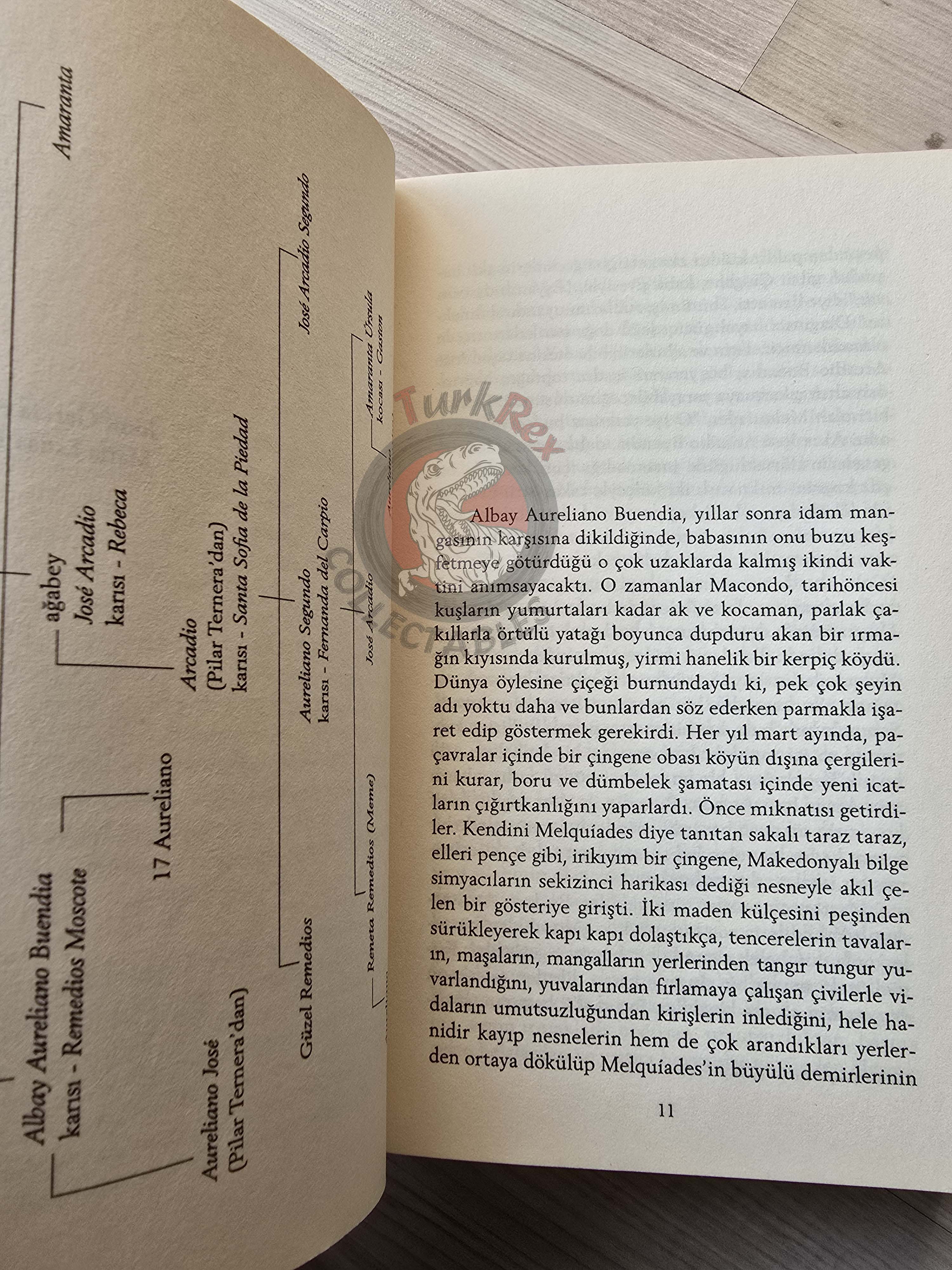 Gabriel García Márquez – One Hundred Years Of Solitude 2014 Turkish Book Turkey