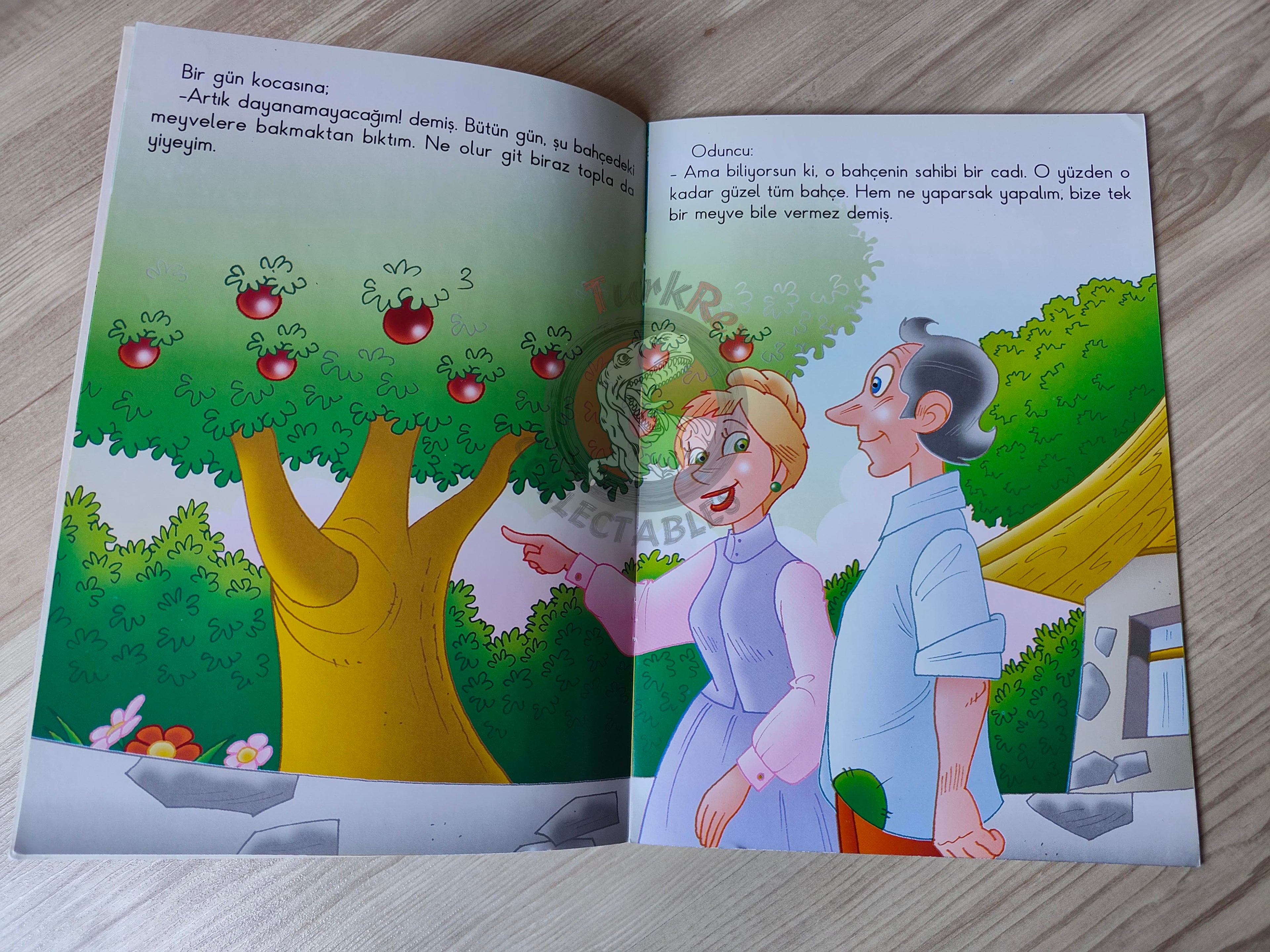 Grimm Brothers – Rapunzel 2011 Turkish Book Turkey Illustrated