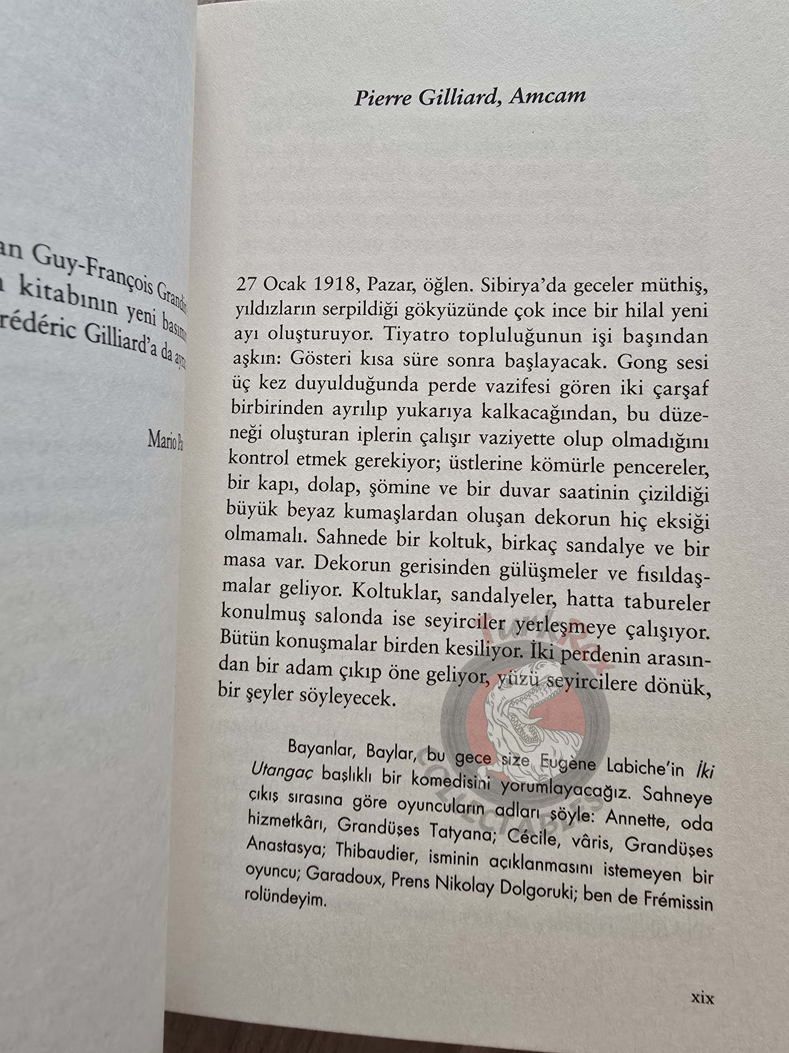 Pierre Gilliard – Thirteen Years at the Russian Court 2020 Turkish Book Turkey
